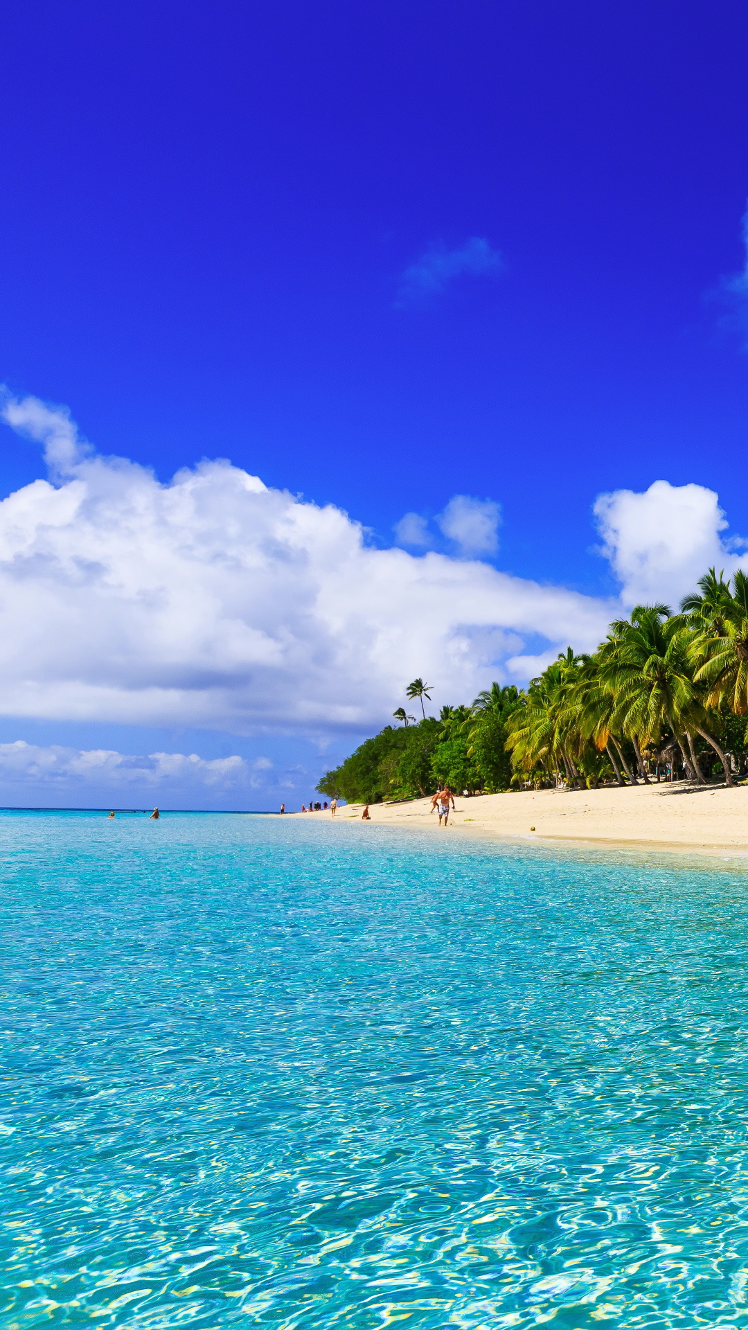 Descarga gratuita de fondo de pantalla para móvil de Mar, Playa, Océano, Tierra, Tropical, Fotografía, Palmera, Tropico.