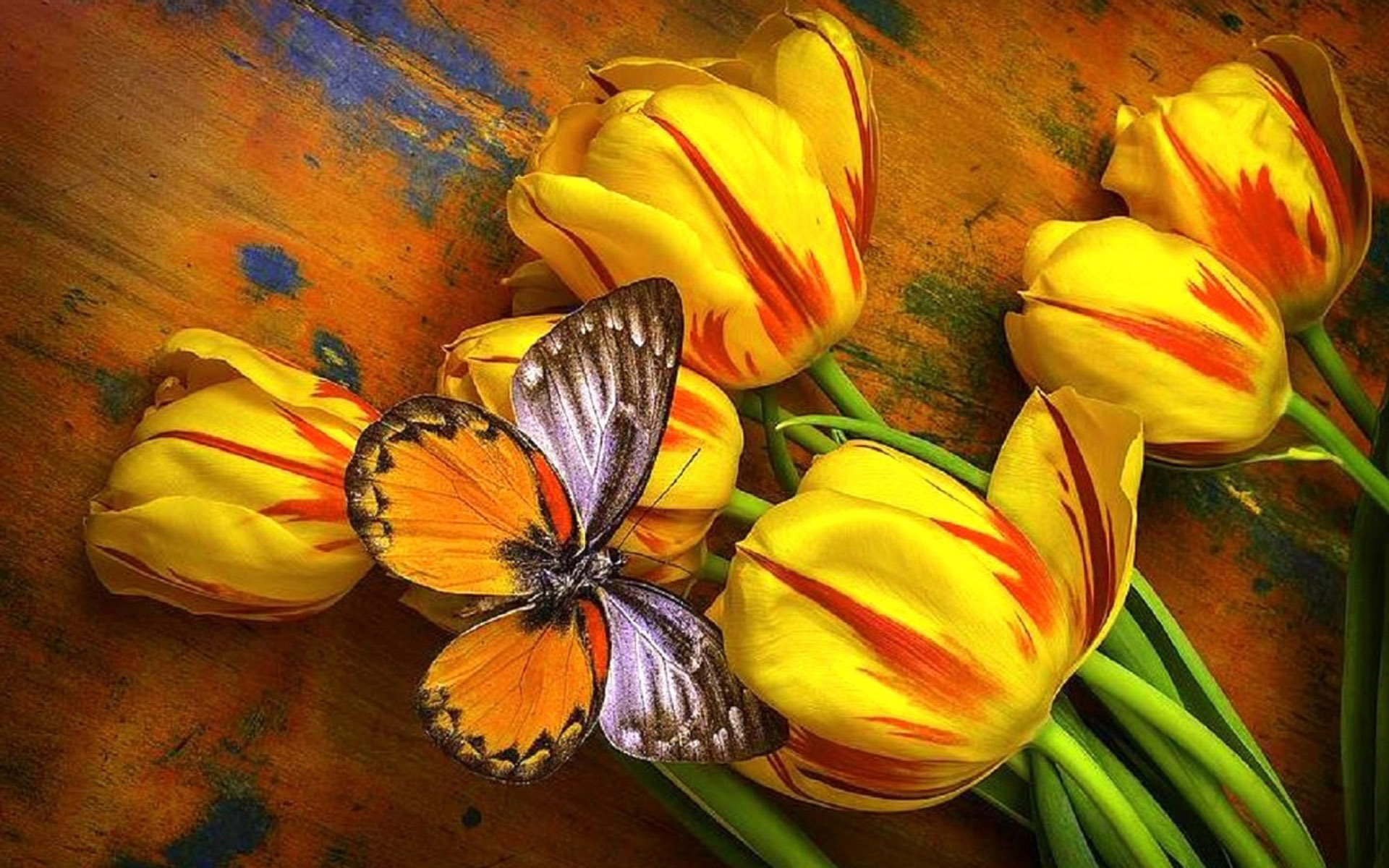 Handy-Wallpaper Tiere, Schmetterlinge, Blume, Tulpe, Gelbe Blume kostenlos herunterladen.