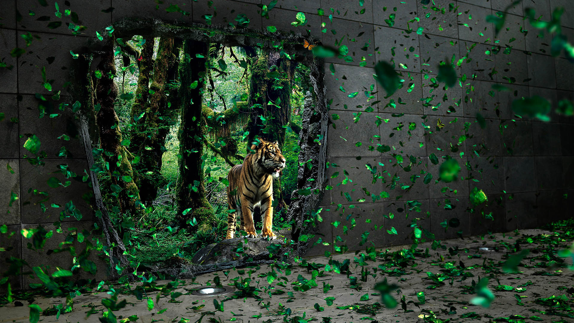 Descarga gratuita de fondo de pantalla para móvil de Gatos, Animales, Tigre.