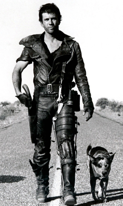 Download mobile wallpaper Warrior, Movie, Mad Max for free.