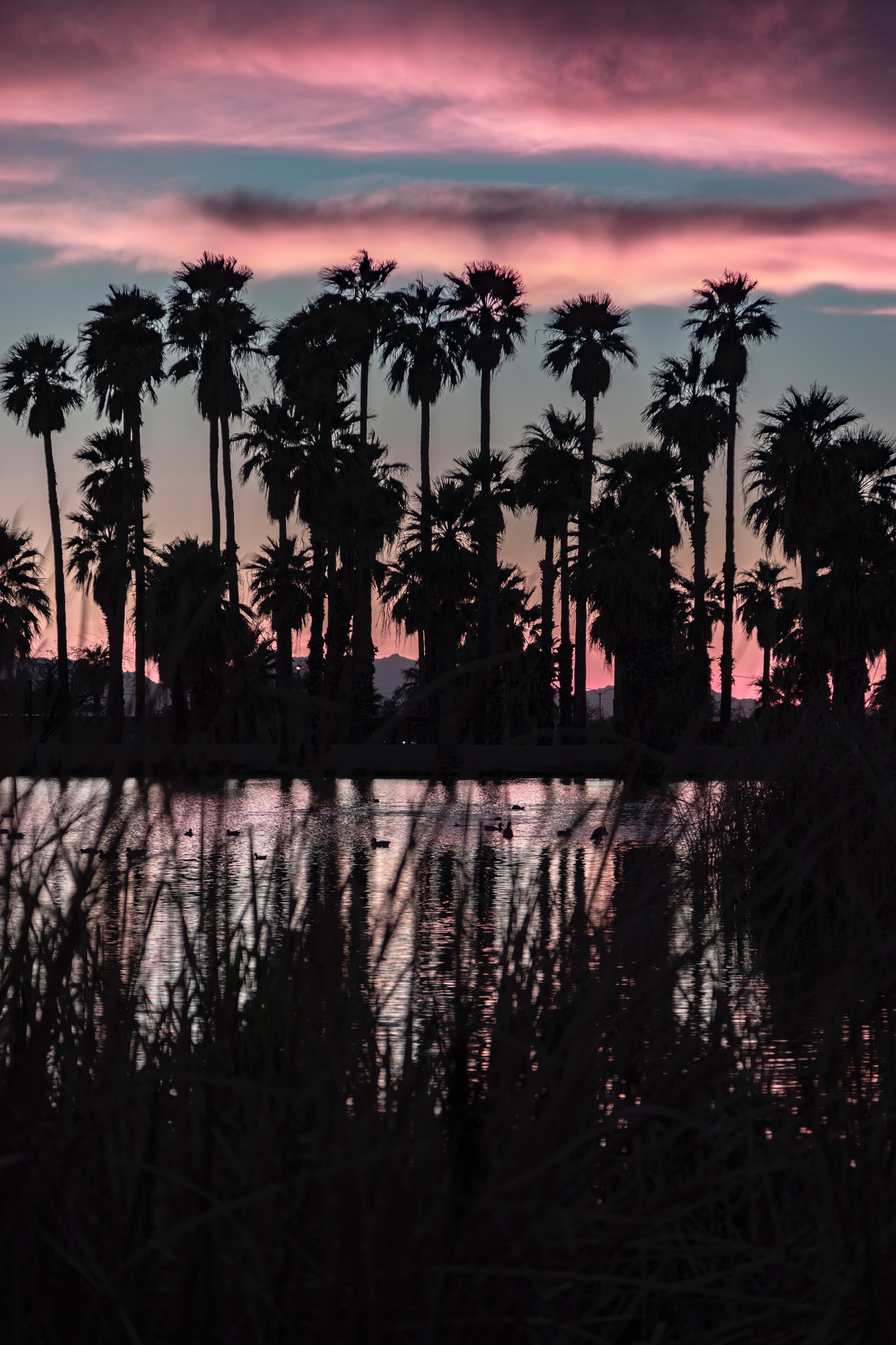 Download mobile wallpaper Dusk, Twilight, Lake, Landscape, Palms, Dark for free.