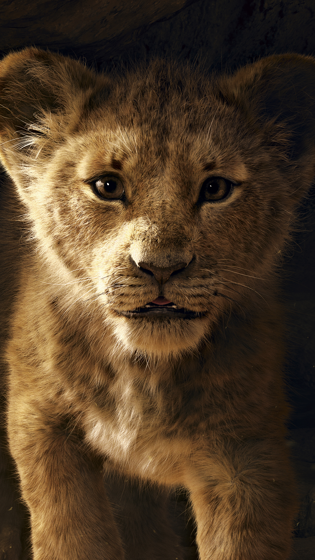 1333294 Hintergrundbild herunterladen filme, der könig der löwen (2019), simba - Bildschirmschoner und Bilder kostenlos