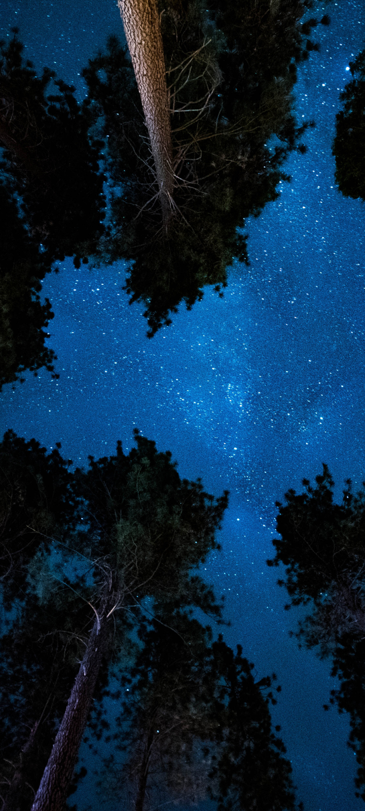 Download mobile wallpaper Sky, Night, Earth for free.