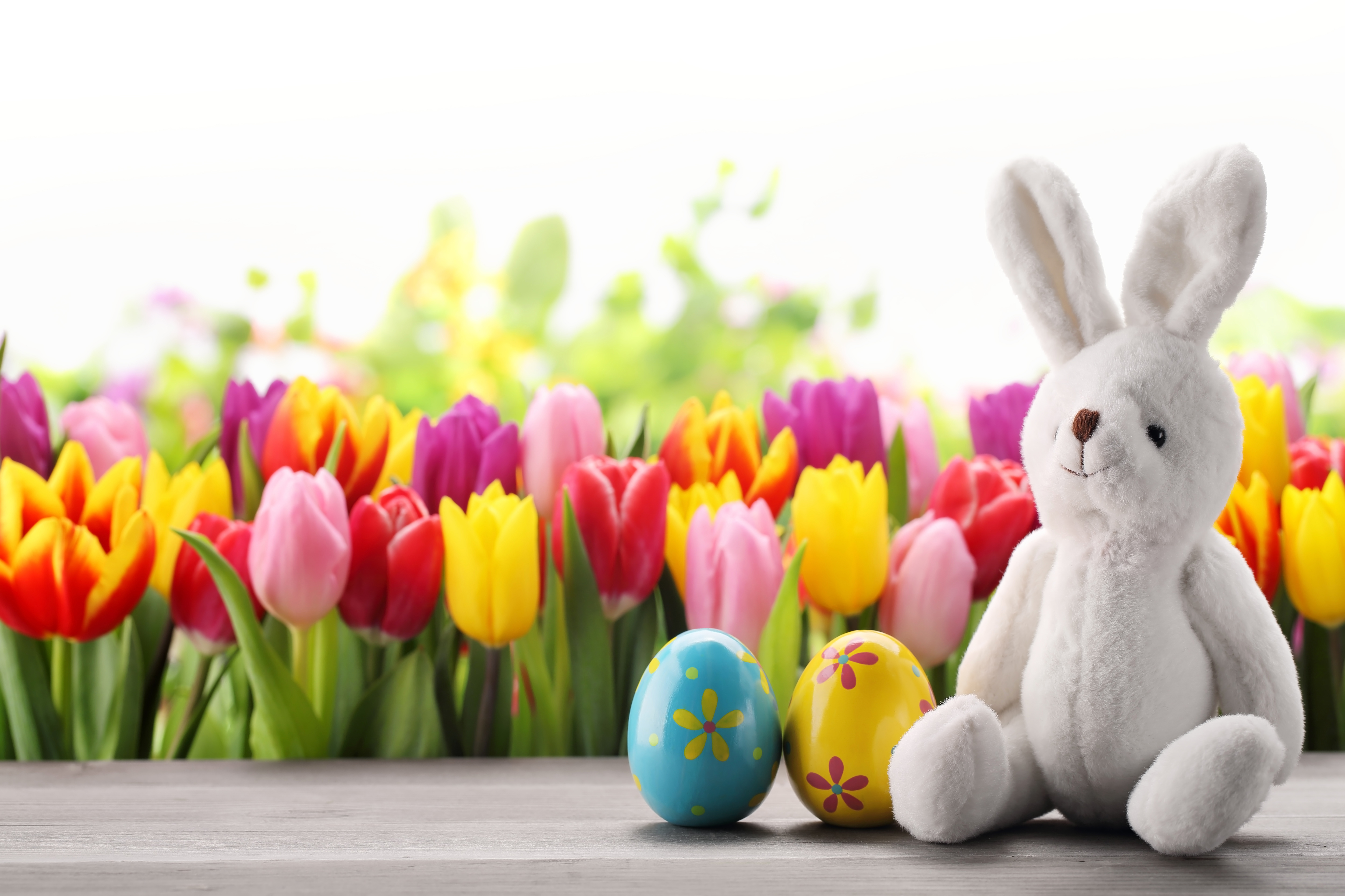 Free download wallpaper Easter, Flower, Holiday, Tulip, Stuffed Animal, Easter Egg on your PC desktop