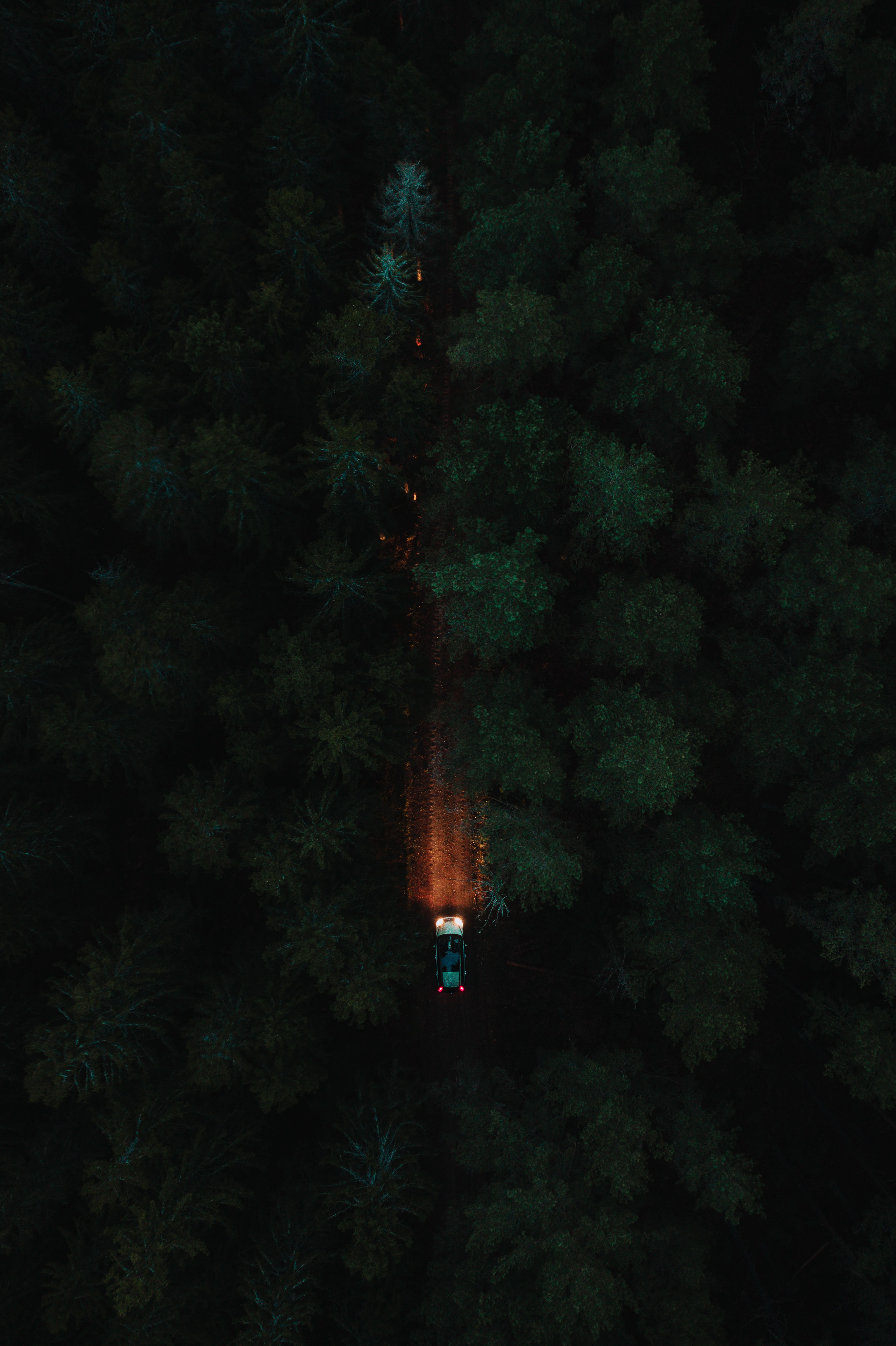 Free download wallpaper Trees, View From Above, Road, Forest, Car, Dark on your PC desktop