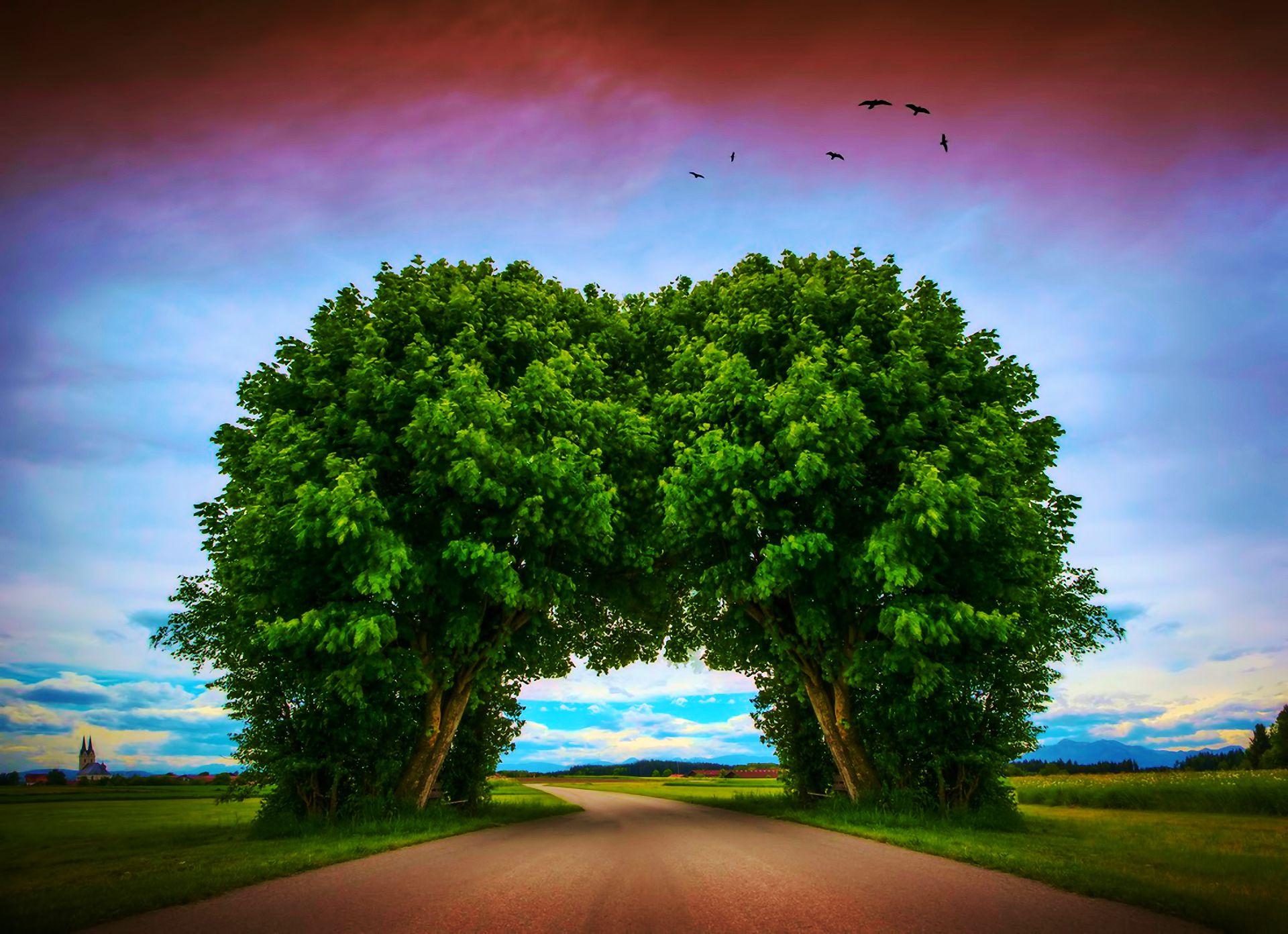 Download mobile wallpaper Landscape, Nature, Sky, Road, Tree, Arch, Artistic, Tunnel, Cgi for free.