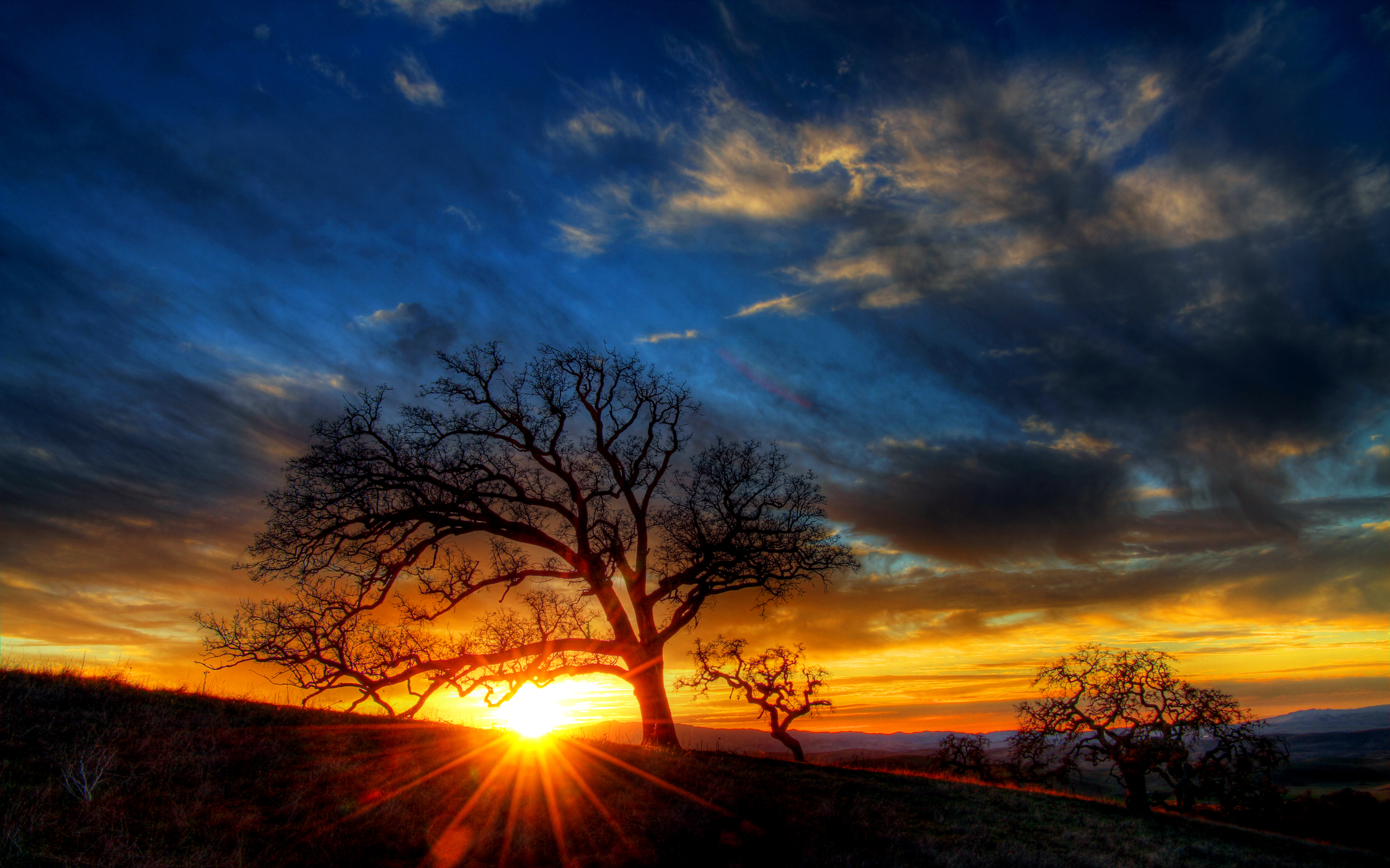 Free download wallpaper Sunset, Earth on your PC desktop