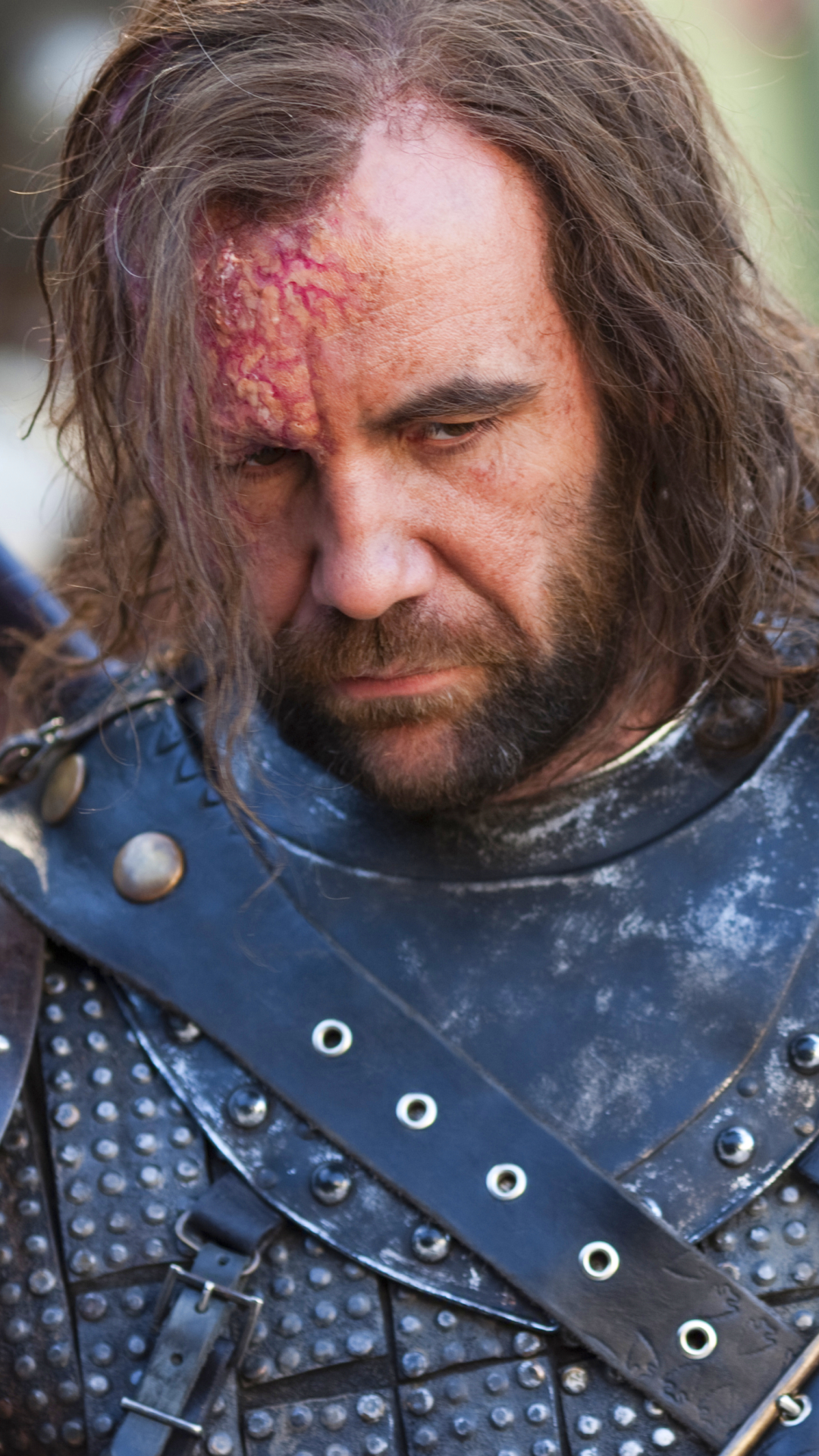 Descarga gratuita de fondo de pantalla para móvil de Juego De Tronos, Series De Televisión, Rory Mccann, Sándor Clegane.