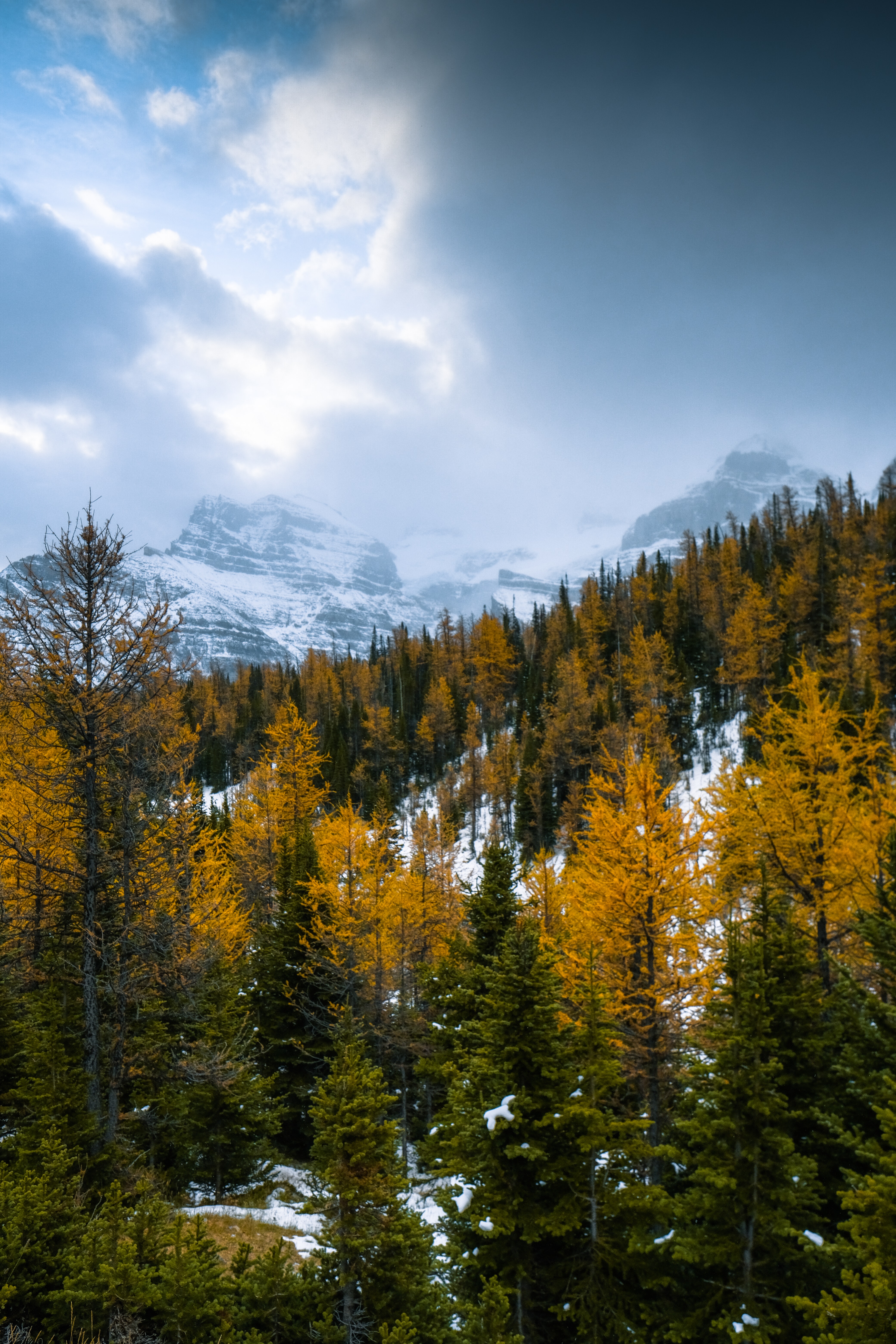 PCデスクトップに風景, 自然, 山脈, 雪, 森林, 森, 雪に覆われた, 積雪画像を無料でダウンロード