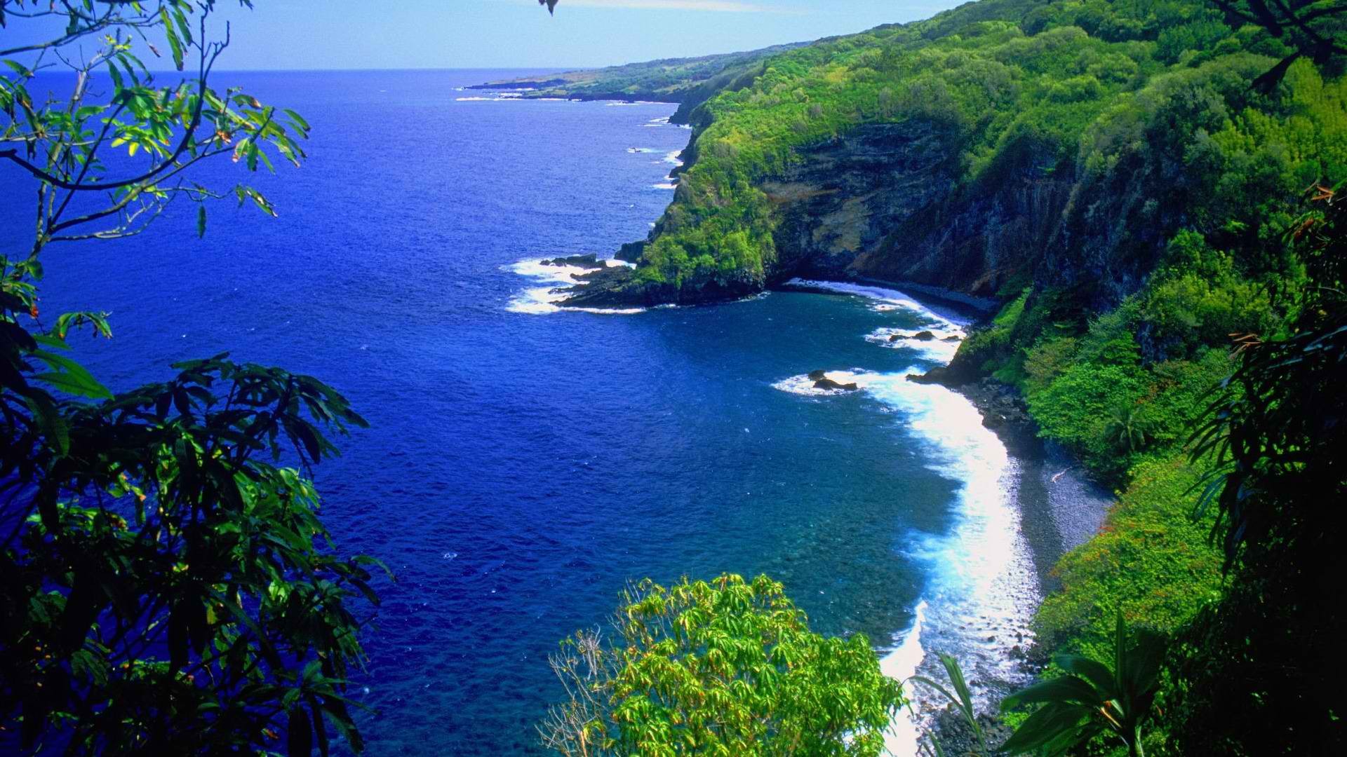 Скачать обои бесплатно Море, Дерево, Океан, Утес, Гавайи, Береговая Линия, Земля/природа картинка на рабочий стол ПК