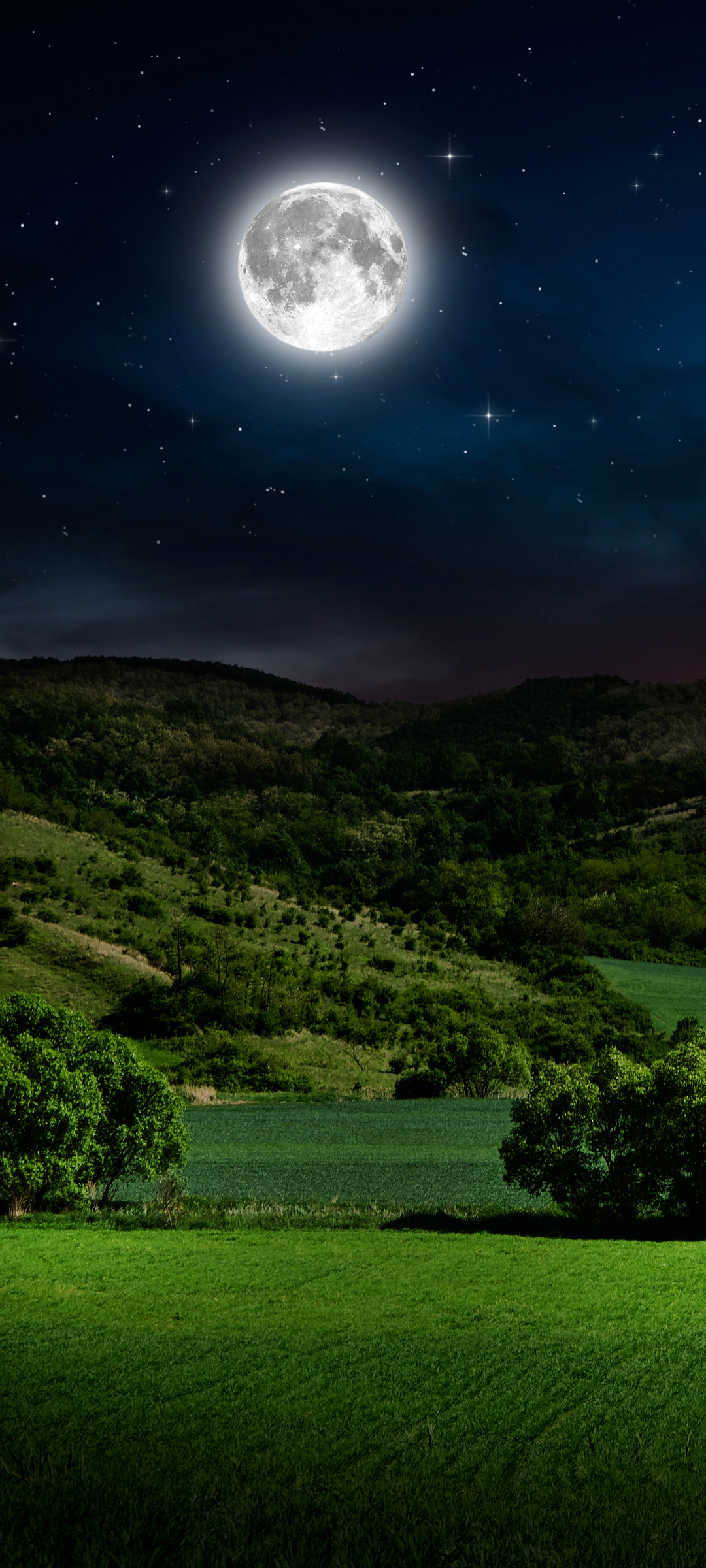 Download mobile wallpaper Sky, Night, Moon, Earth, Field for free.