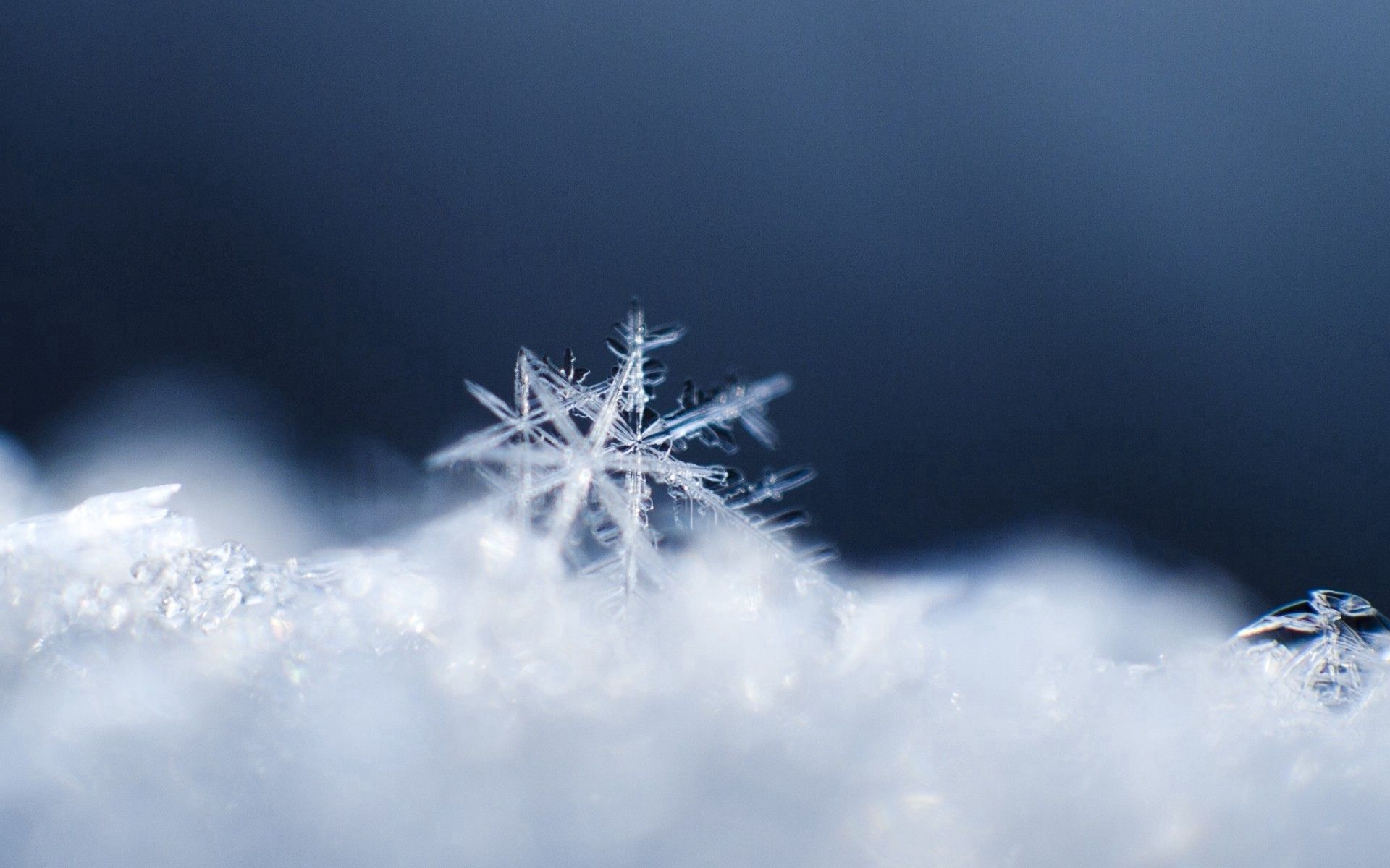 Free download wallpaper Macro, Snowflake, Snow, Surface on your PC desktop