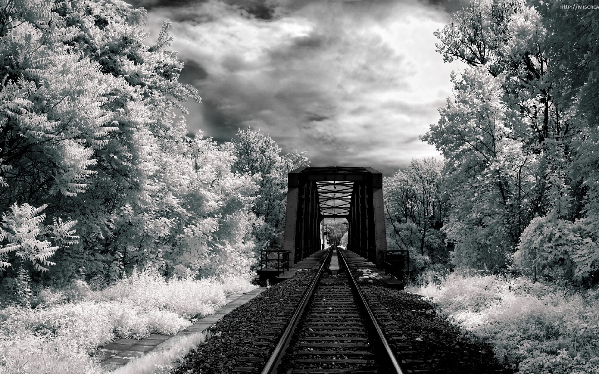 hdr, photography, black & white, bridge, cloud, forest, landscape, monochrome, railroad, sky