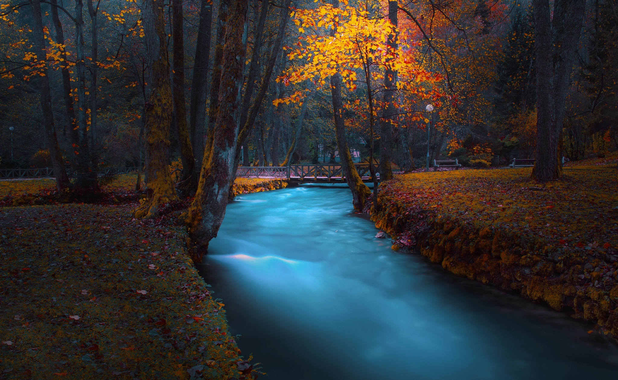 Скачать картинку Река, Осень, Парк, Дерево, Мост, Фотографии в телефон бесплатно.