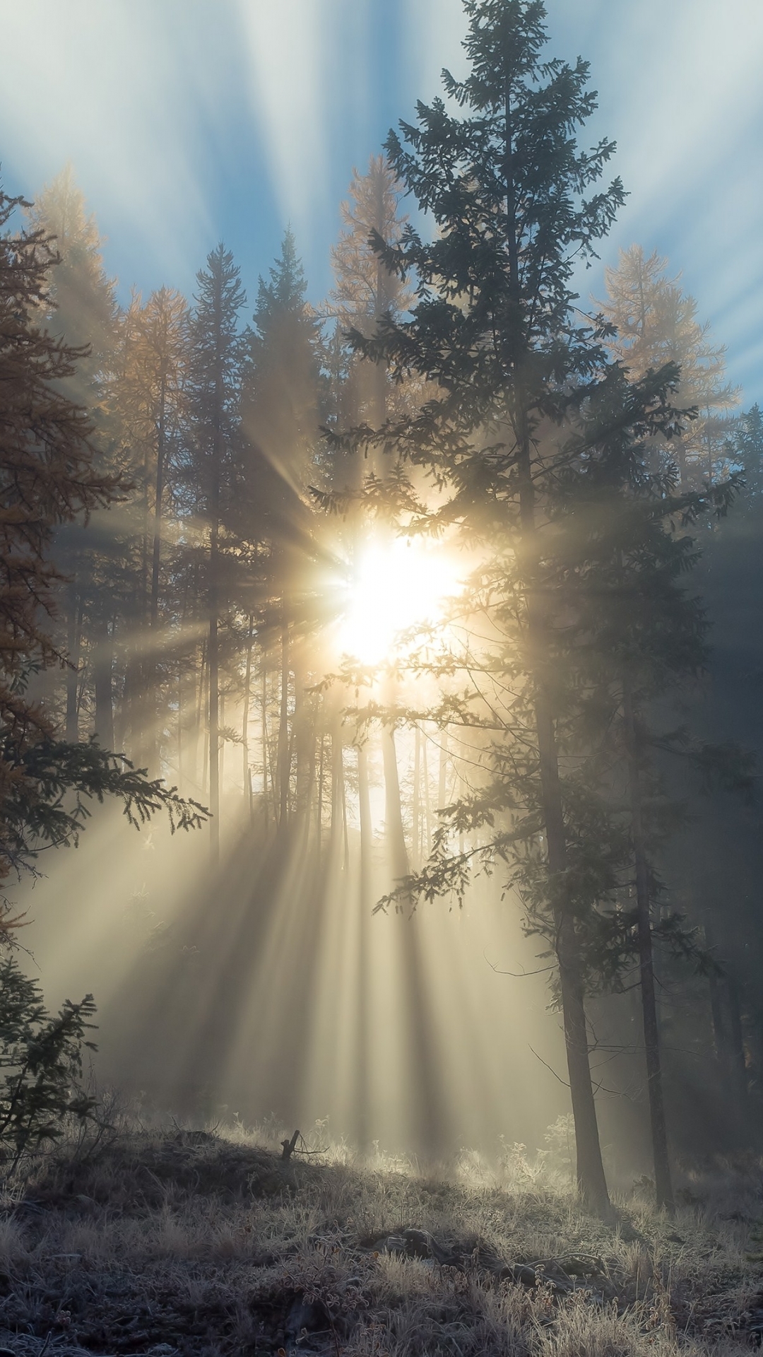 Descarga gratuita de fondo de pantalla para móvil de Rayo De Sol, Tierra/naturaleza.