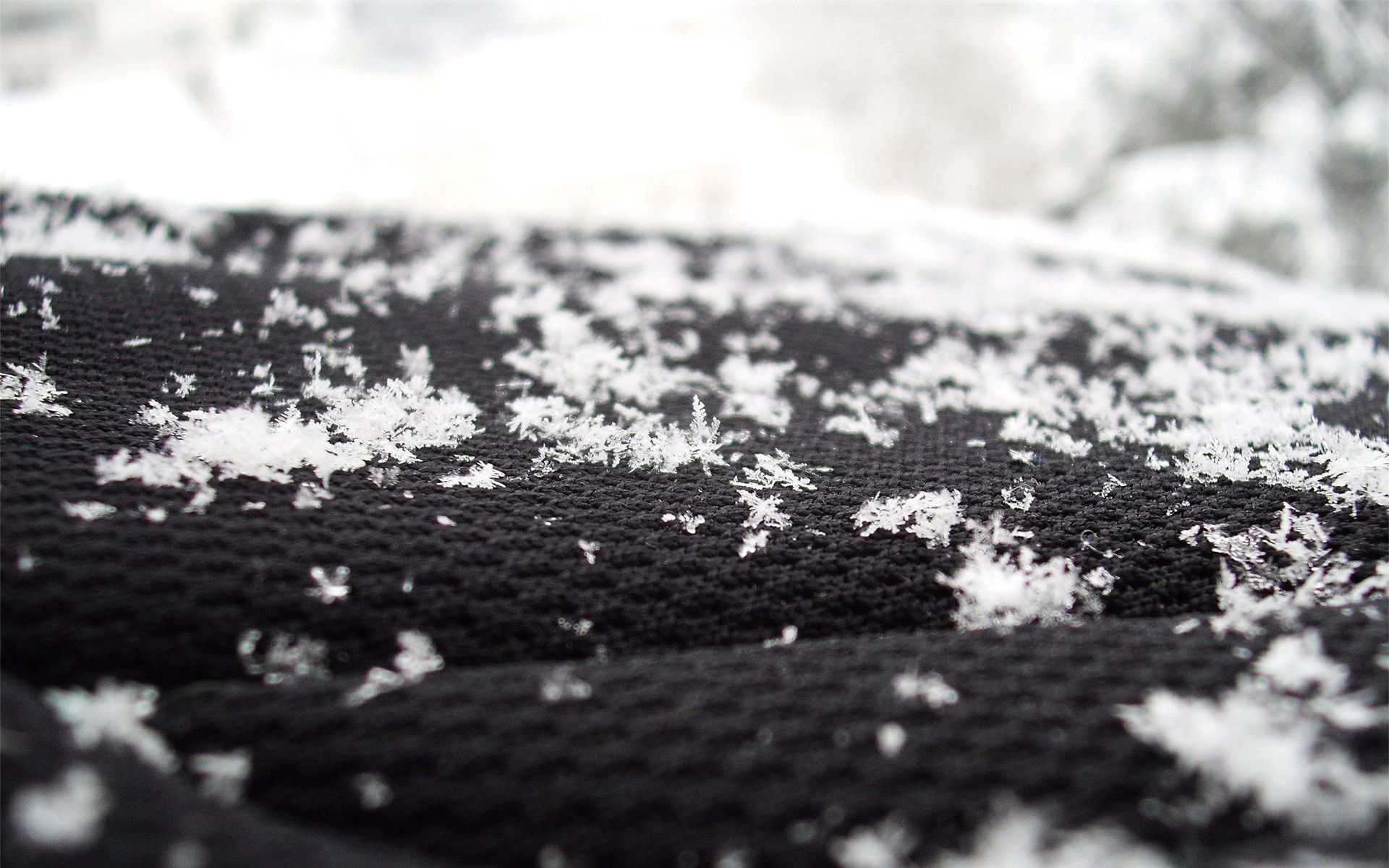 surface, snow, snowflakes, black, white, macro