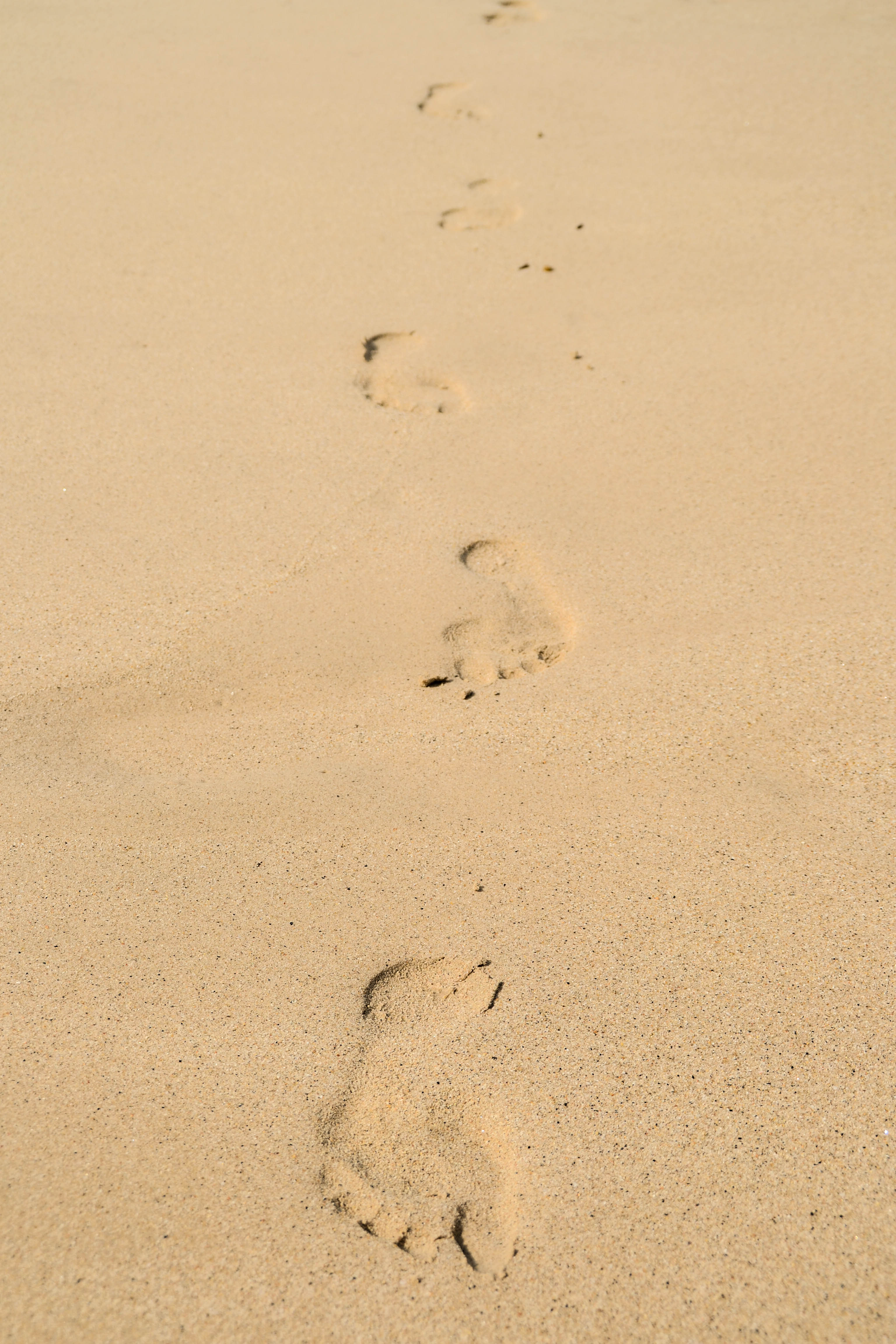 beach, sand, miscellanea, miscellaneous, traces