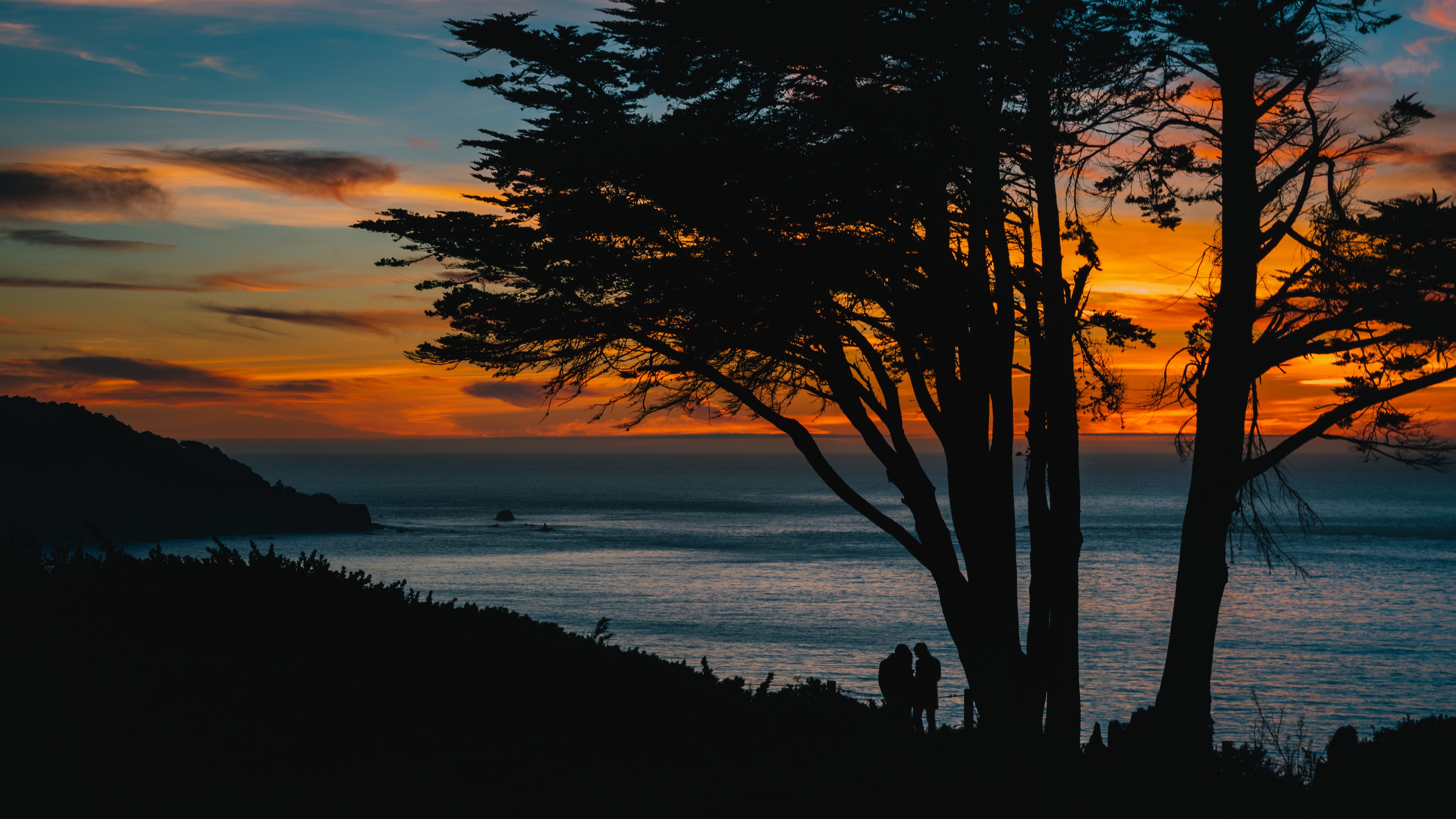 sunset, sea, dark, wood, tree, silhouettes