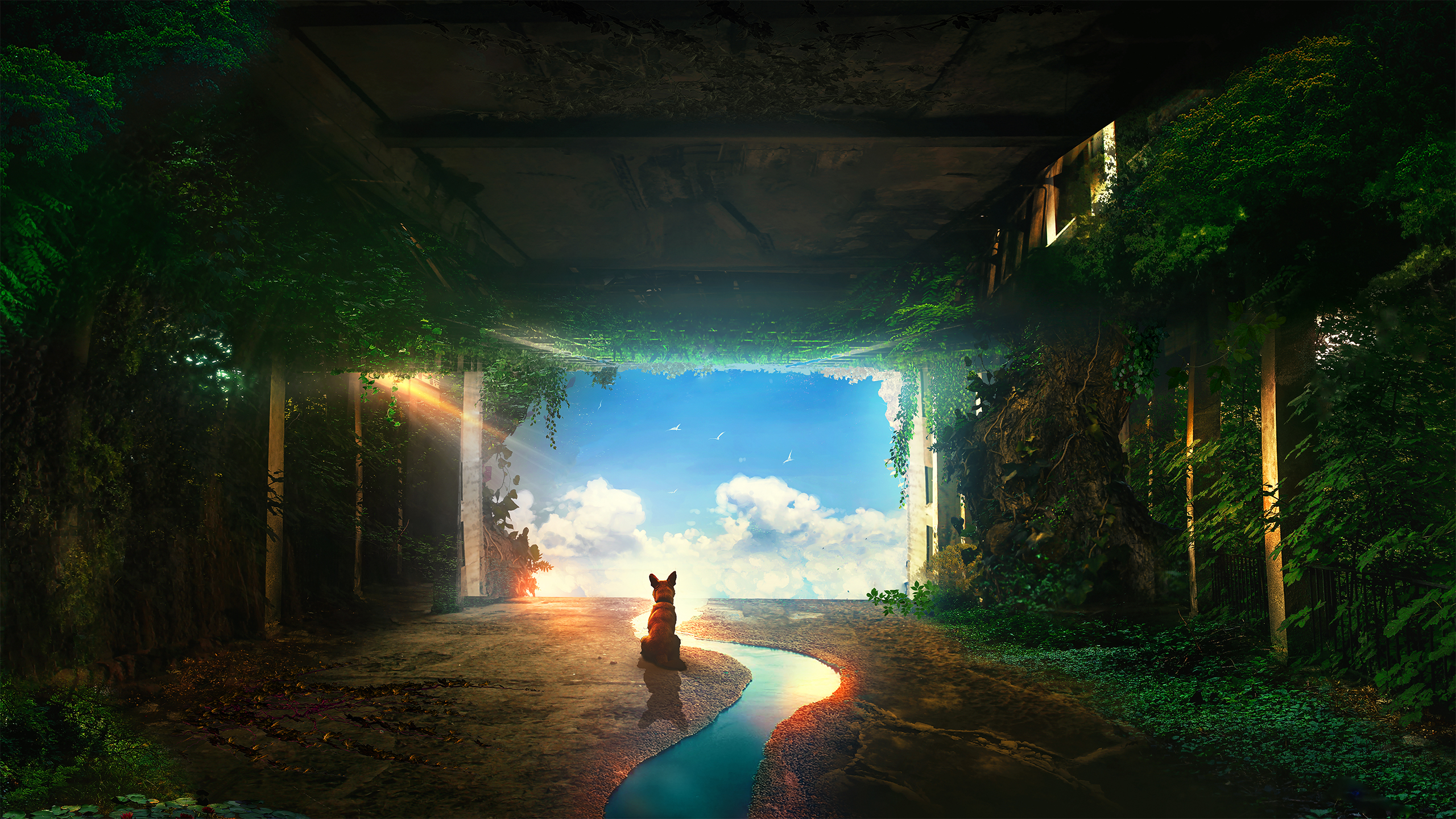 Download mobile wallpaper Dog, Stream, Sci Fi, Sunbeam, Post Apocalyptic for free.