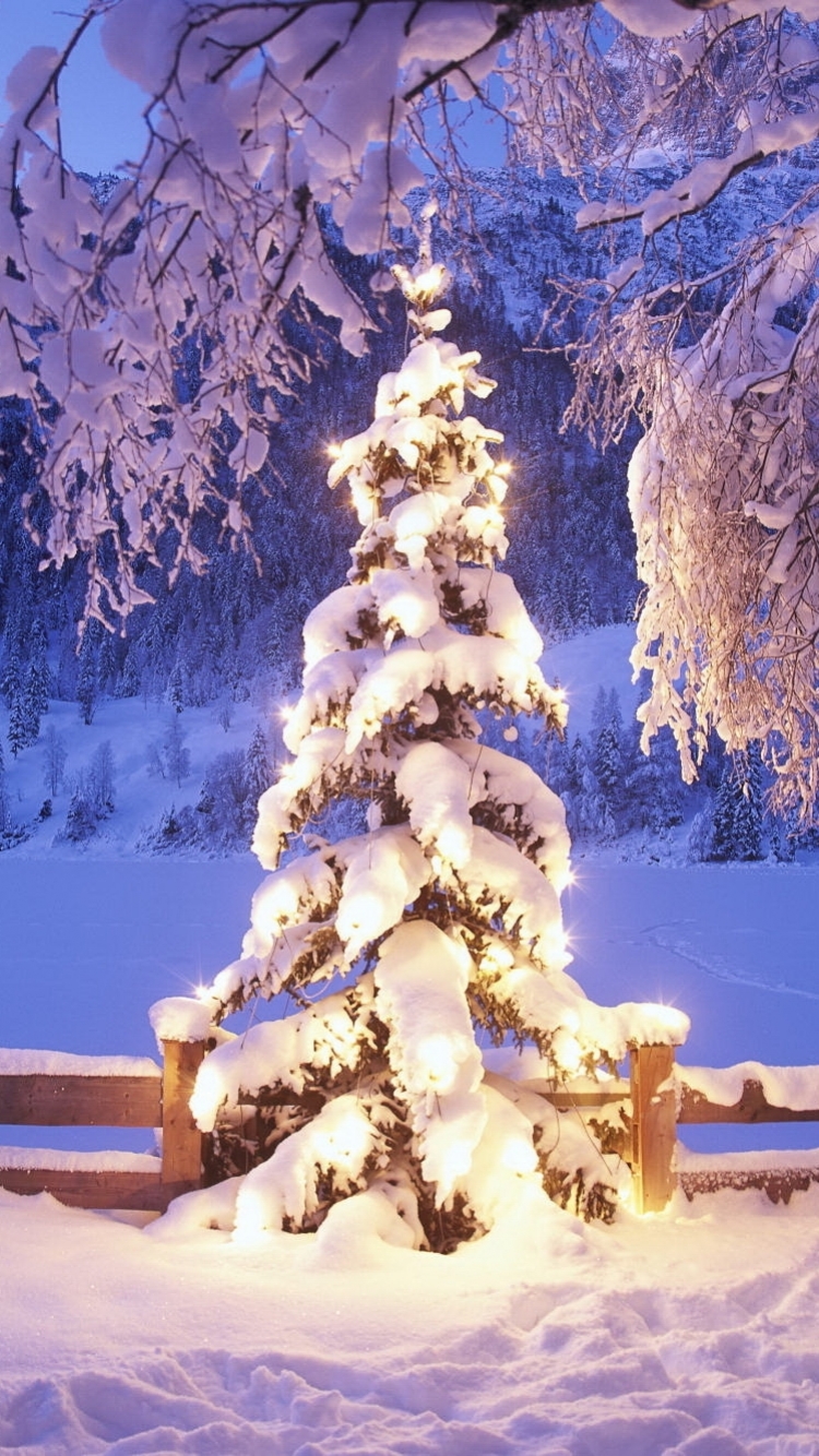 Download mobile wallpaper Christmas, Holiday, Christmas Tree, Christmas Lights for free.