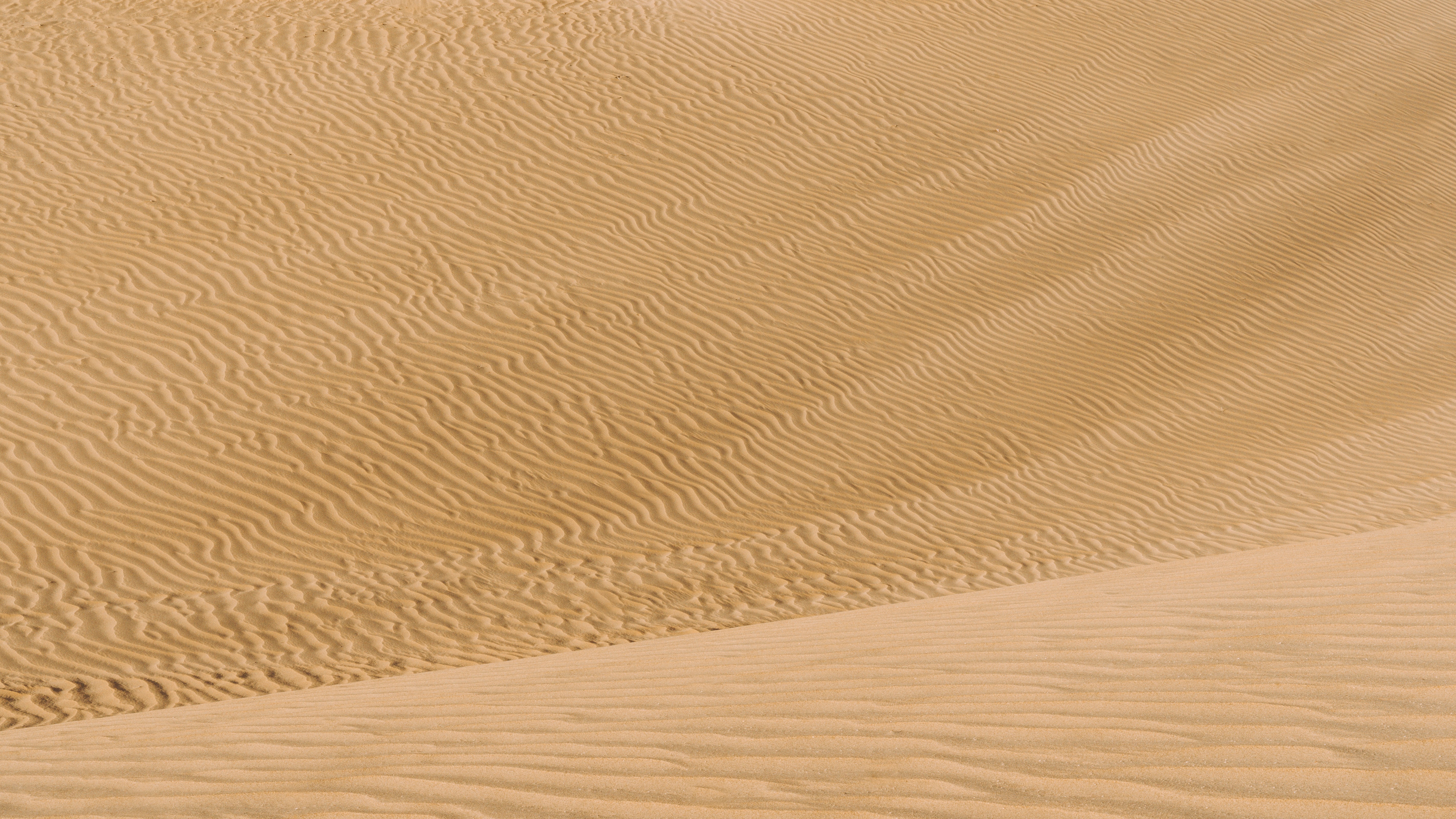 Скачать картинку Барханы, Природа, Песок, Волнистый, Пустыня в телефон бесплатно.