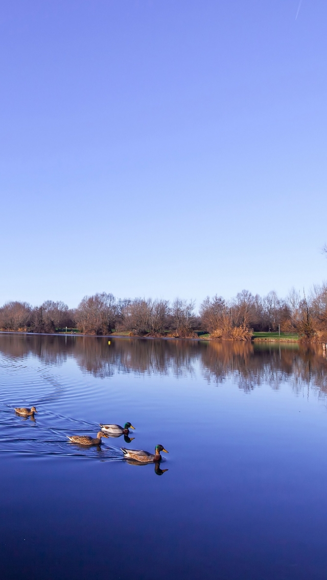 Descarga gratuita de fondo de pantalla para móvil de Lagos, Lago, Tierra/naturaleza.