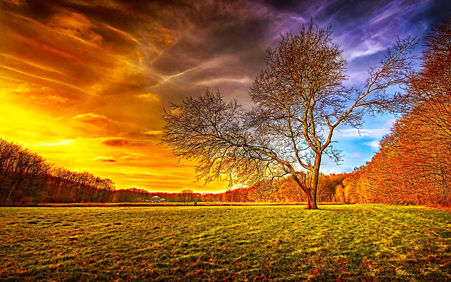 Baixe gratuitamente a imagem Pôr Do Sol, Céu, Árvore, Campo, Dourado, Terra/natureza, Gad na área de trabalho do seu PC