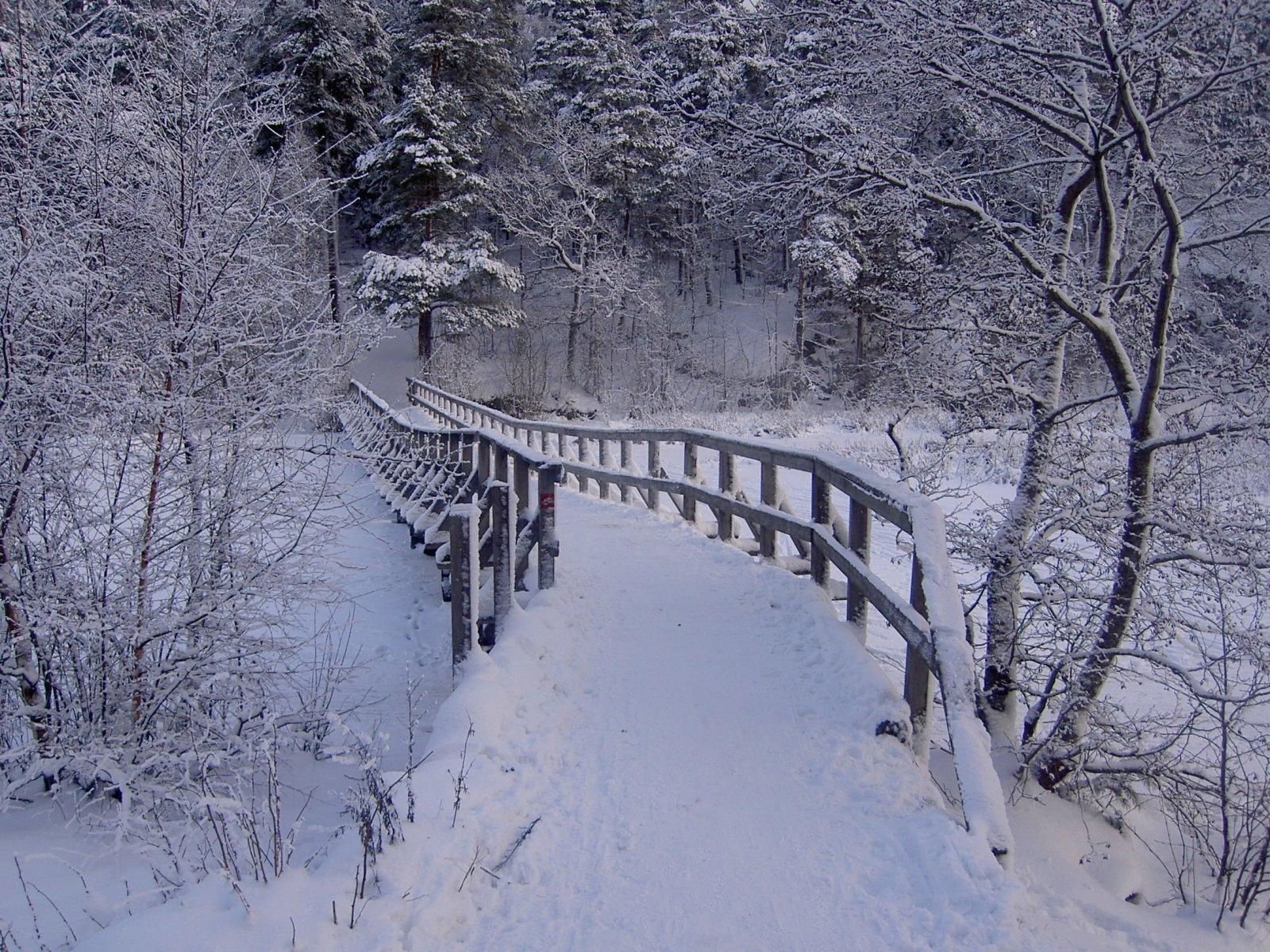 Скачать обои бесплатно Мост, Деревья, Природа, Лес, Река, Зима картинка на рабочий стол ПК