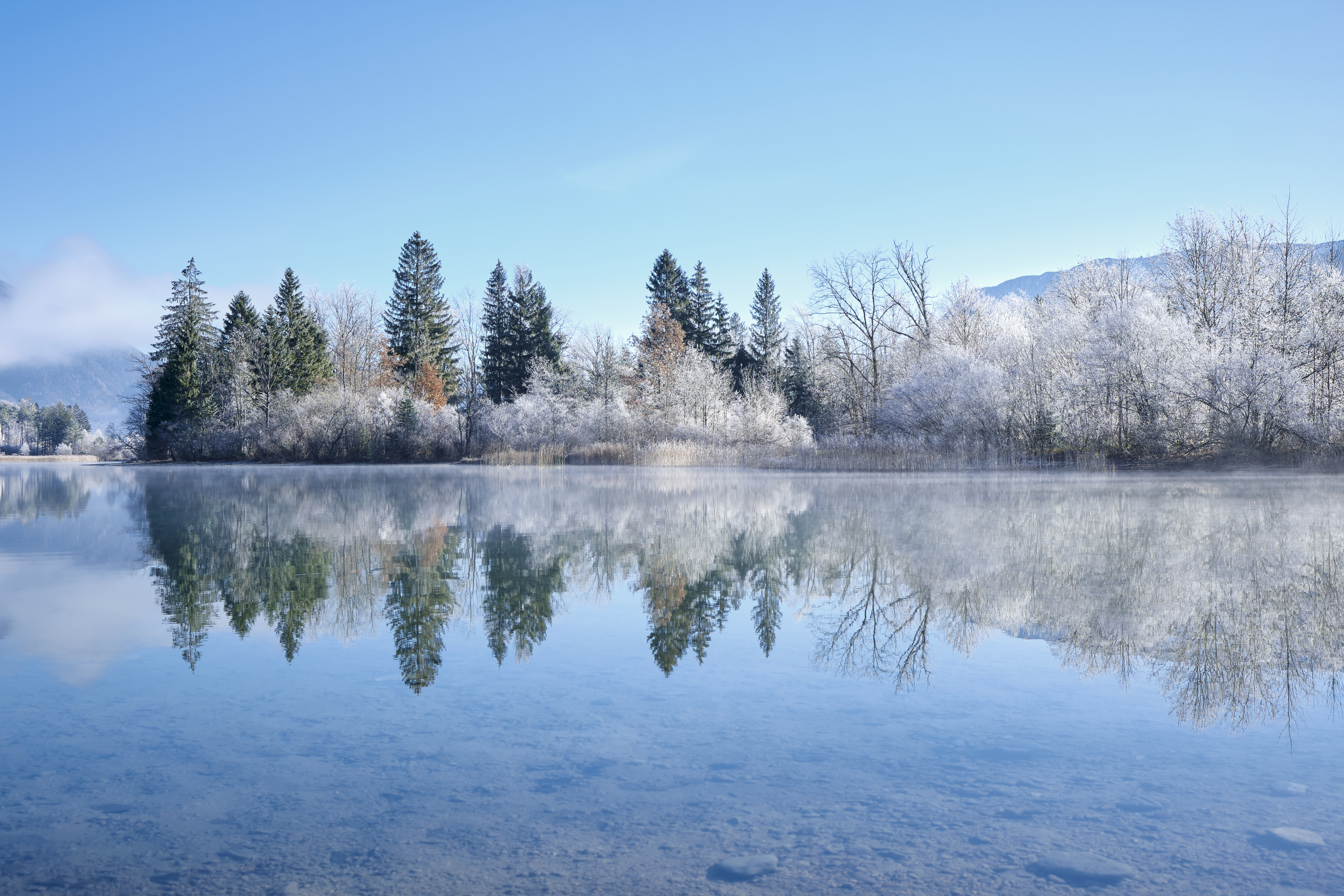 Скачать картинку Отражение, Снег, Озеро, Природа, Пейзаж, Зима, Деревья в телефон бесплатно.