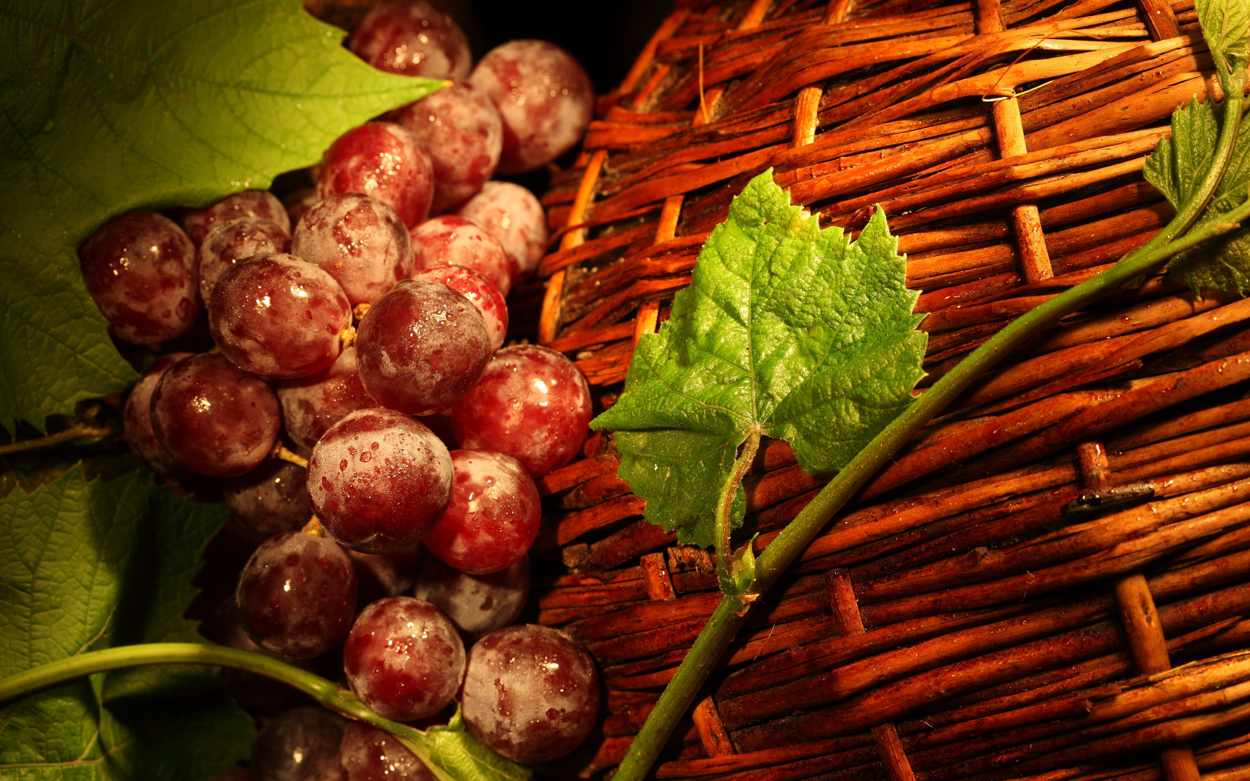 Download mobile wallpaper Grapes, Fruits, Food for free.