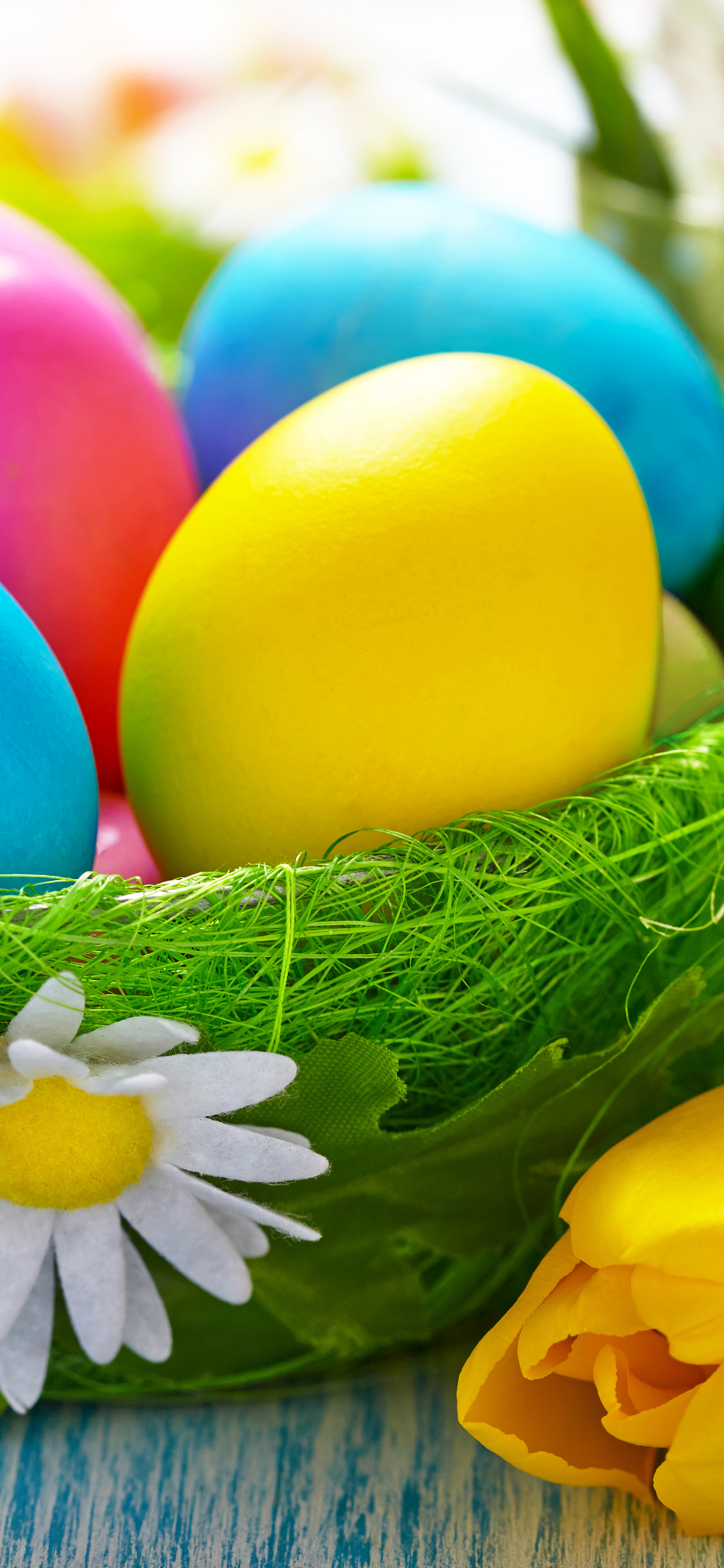 Handy-Wallpaper Feiertage, Ostern, Blume, Farben, Bunt, Tulpe, Ei, Hühnerei, Osterei kostenlos herunterladen.