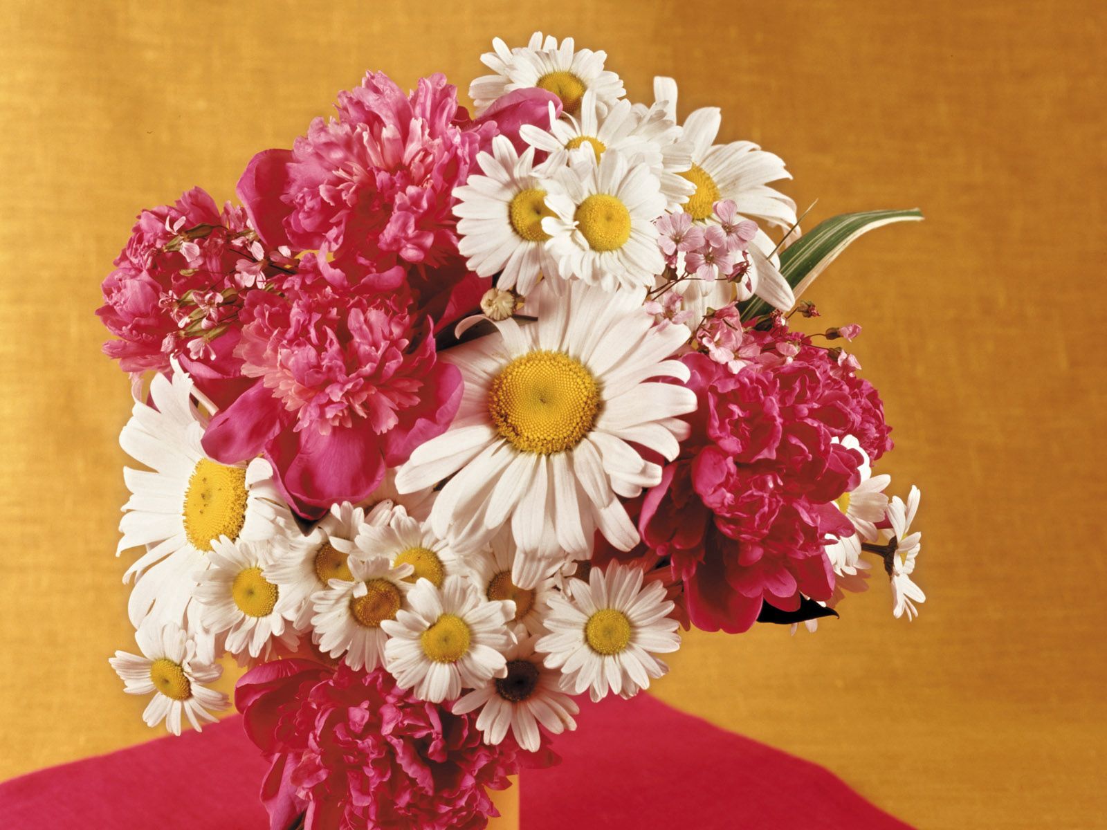 Téléchargez gratuitement l'image Camomille, Fleurs, Bouquet, Vase, Pivoines sur le bureau de votre PC