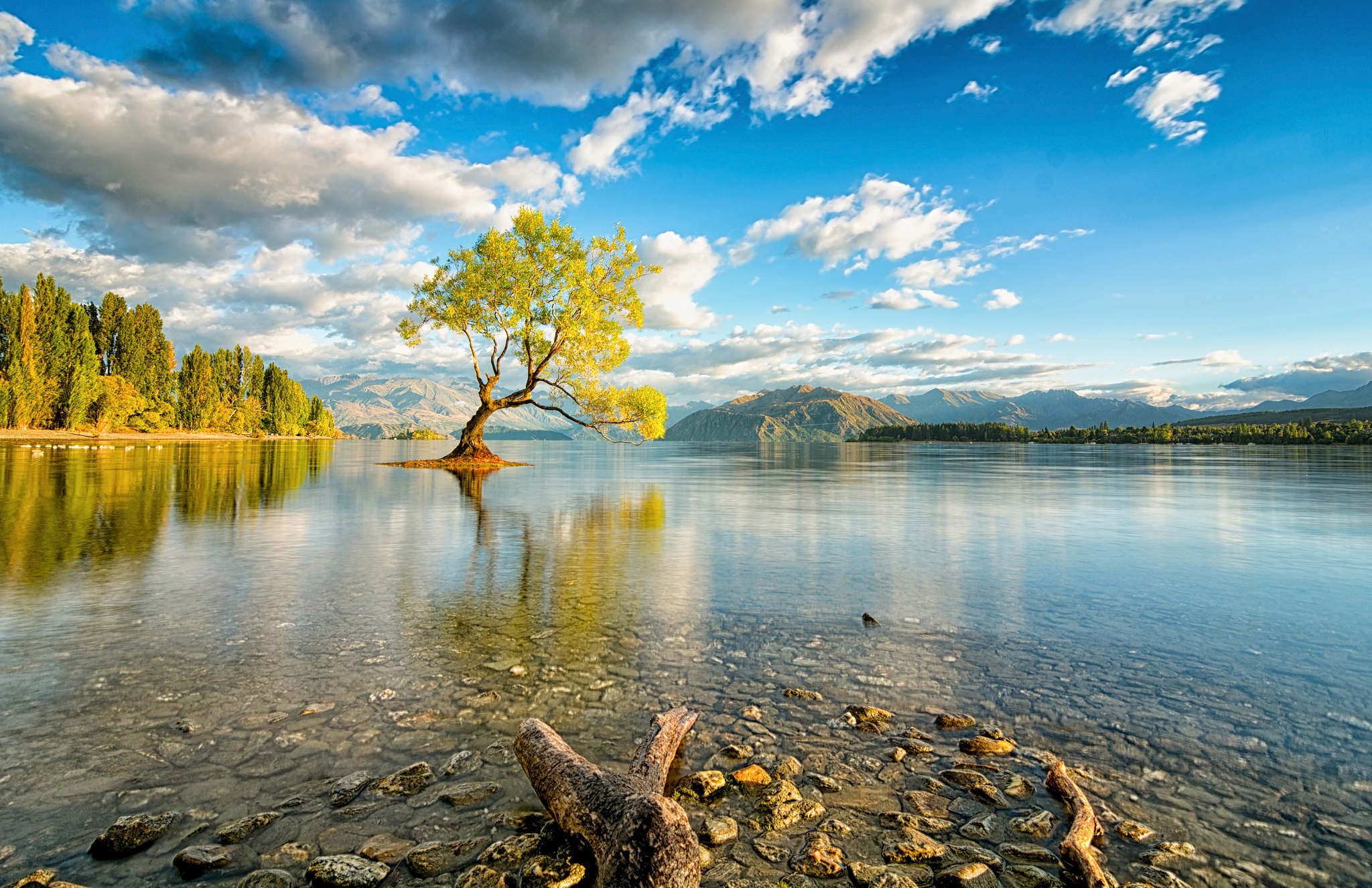 50812 descargar imagen naturaleza, lago, nueva zelanda, isla, wanaka: fondos de pantalla y protectores de pantalla gratis