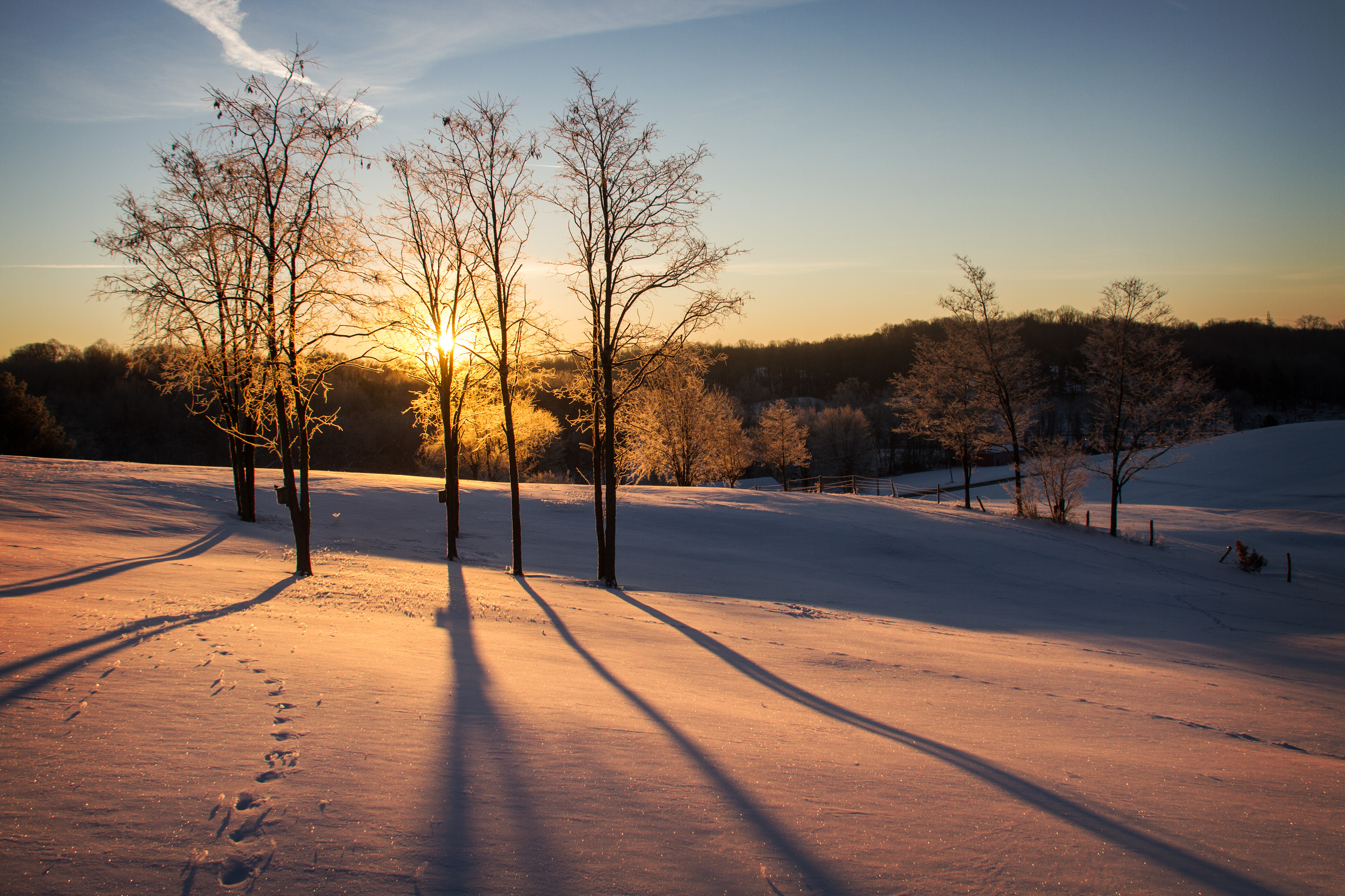 PCデスクトップに冬, 自然, 木, 日没, 雪, 薄明, 夕暮れ画像を無料でダウンロード