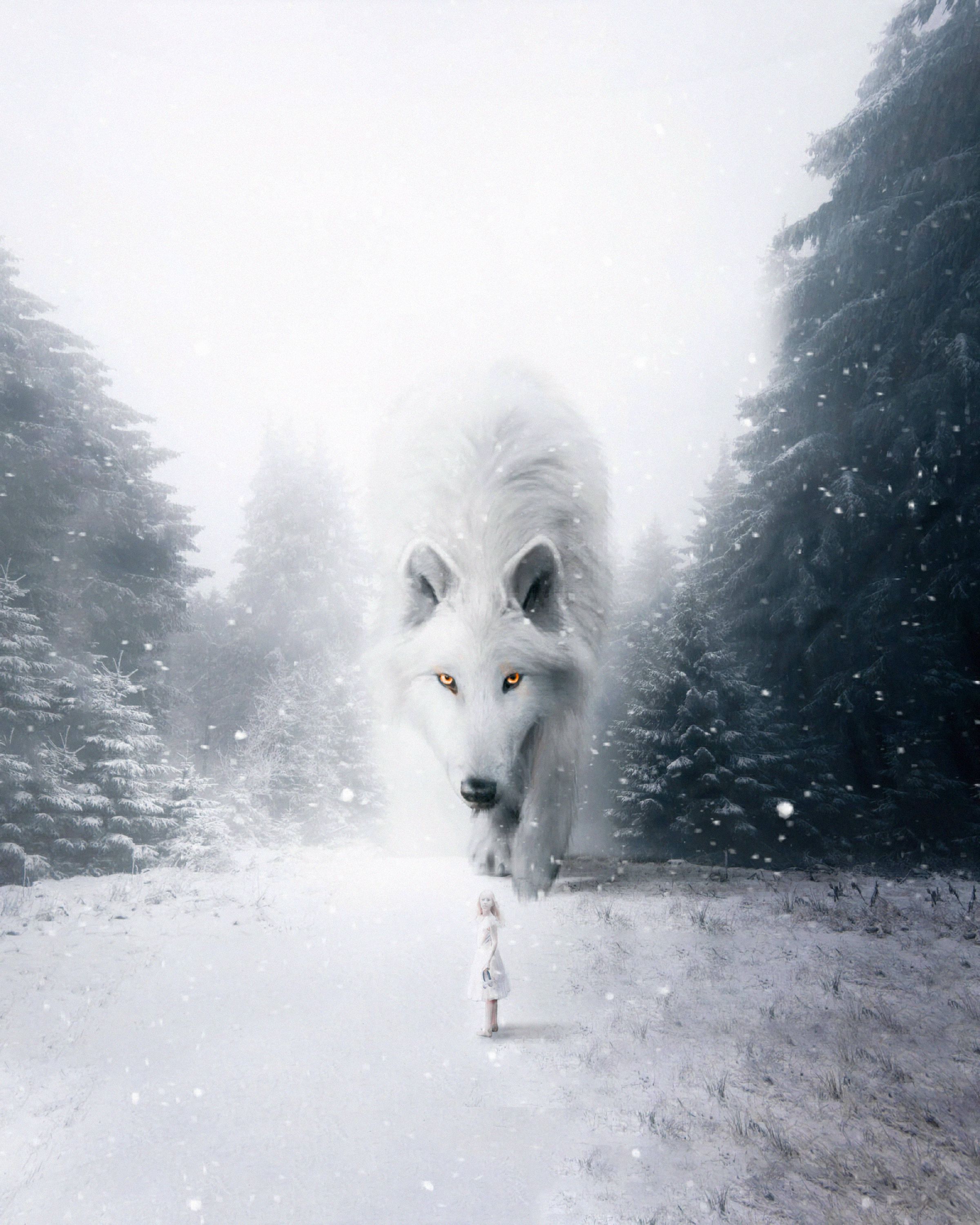 98910 скачать обои фотошоп, фэнтези, волк, белый, туман, снег, ребенок - заставки и картинки бесплатно