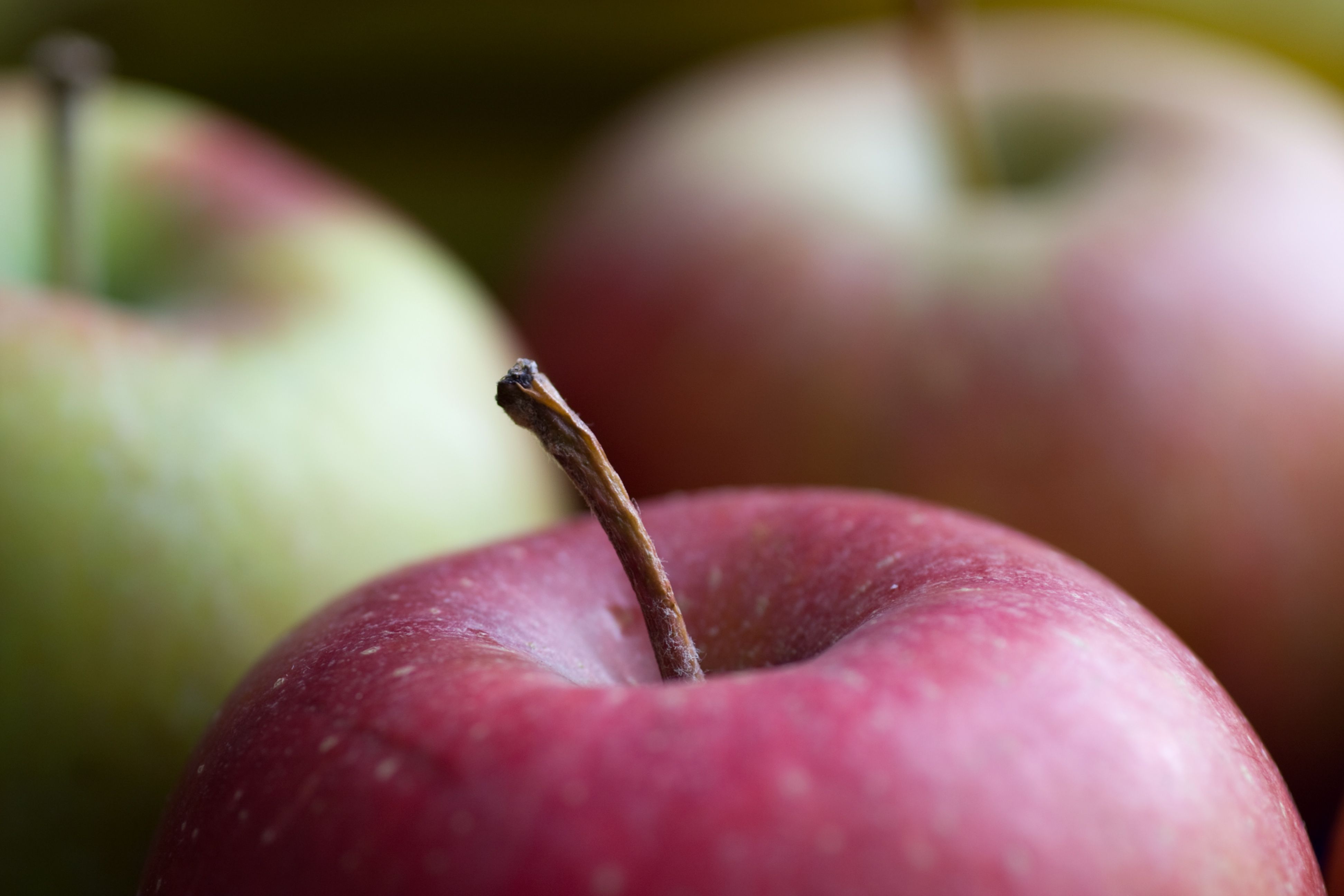 Laden Sie das Frucht, Apfel, Nahrungsmittel, Früchte-Bild kostenlos auf Ihren PC-Desktop herunter