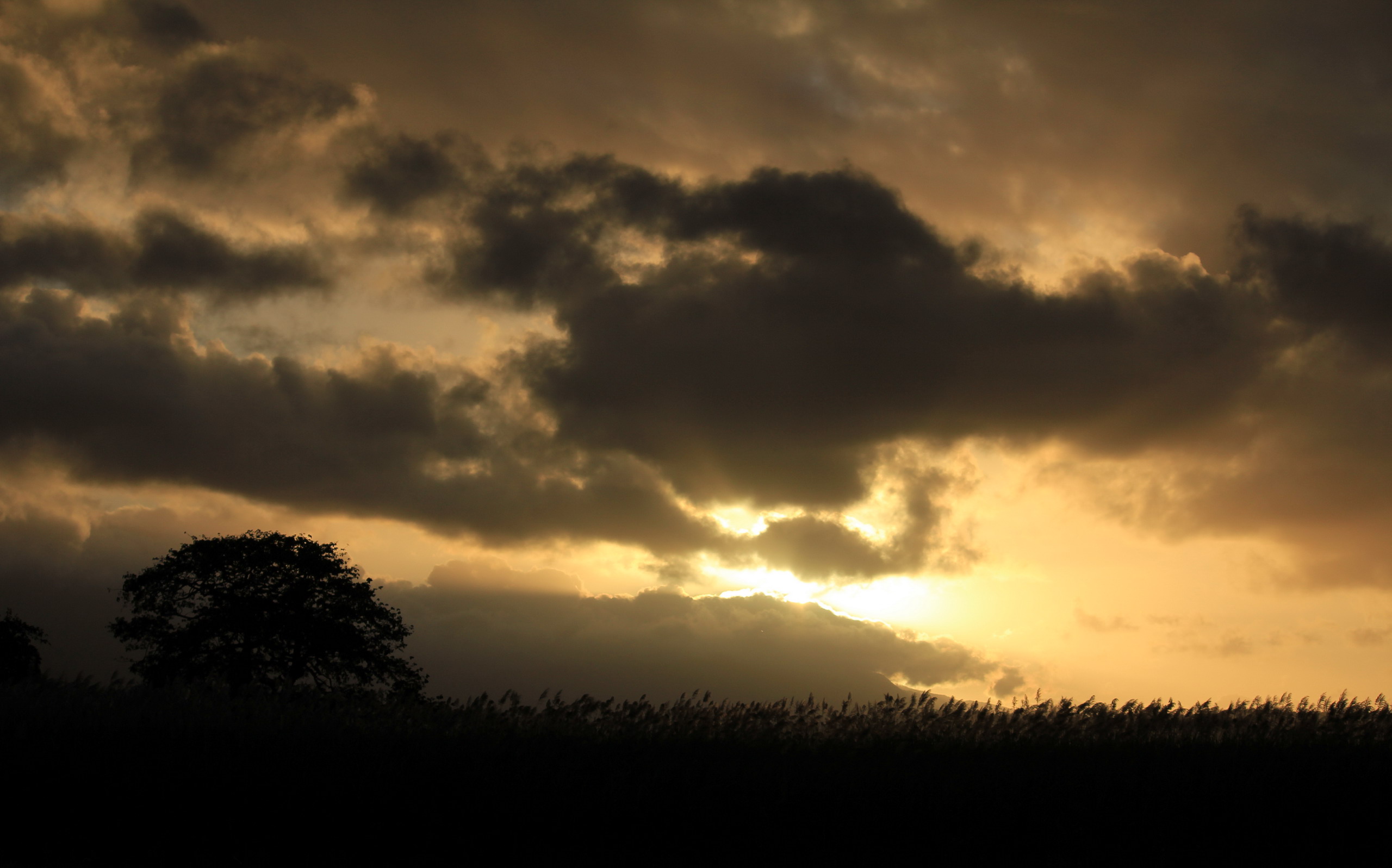 Handy-Wallpaper Himmel, Erde/natur kostenlos herunterladen.