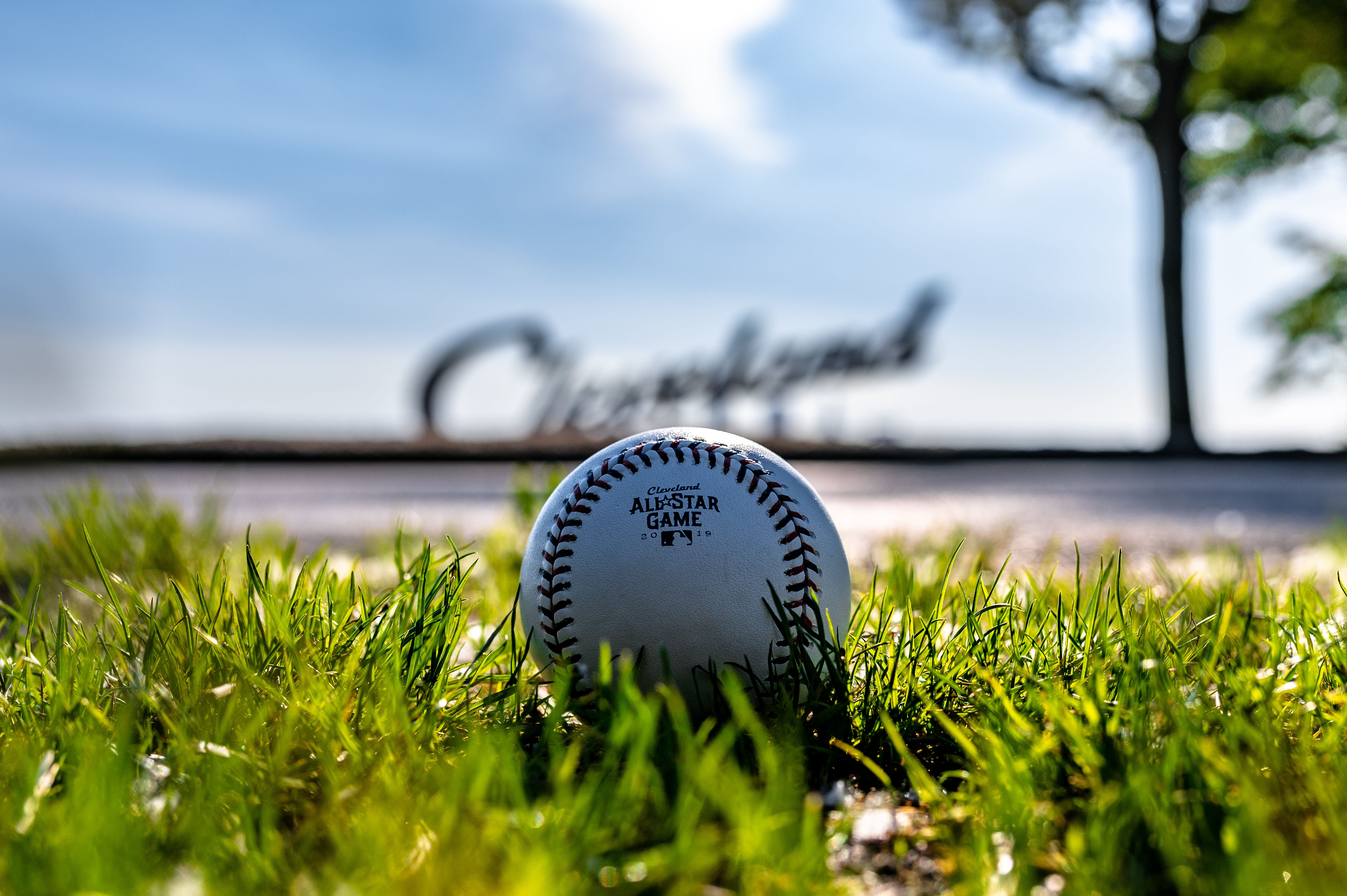baseball, sports, grass, ball, baseball ball