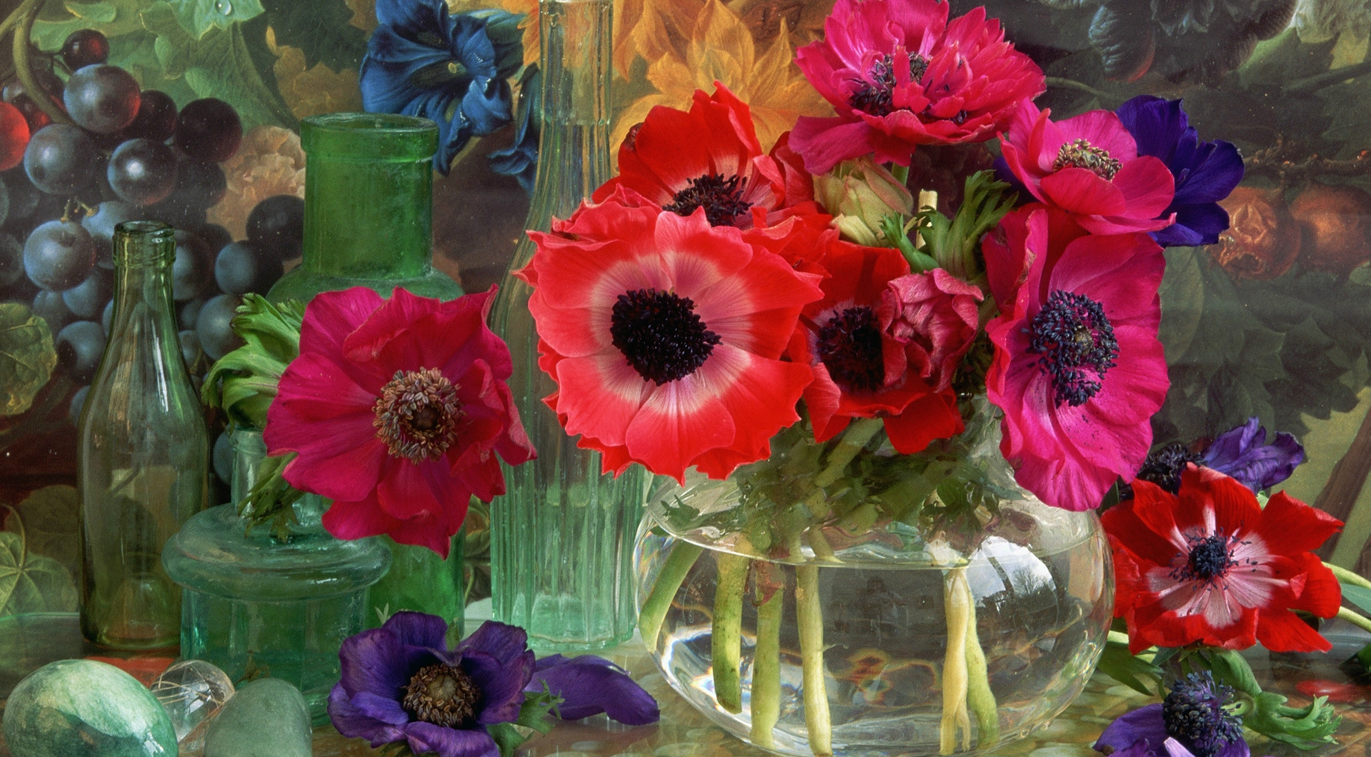 無料モバイル壁紙静物, 花, 花瓶, 写真撮影, アネモネ, 赤い花, 紫色の花をダウンロードします。