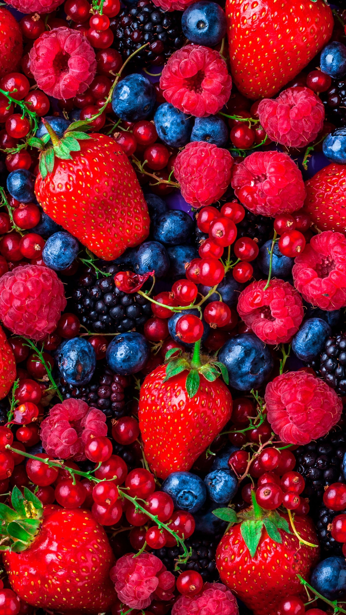 Handy-Wallpaper Obst, Erdbeere, Himbeere, Brombeere, Frucht, Blaubeere, Heidelbeere, Nahrungsmittel kostenlos herunterladen.