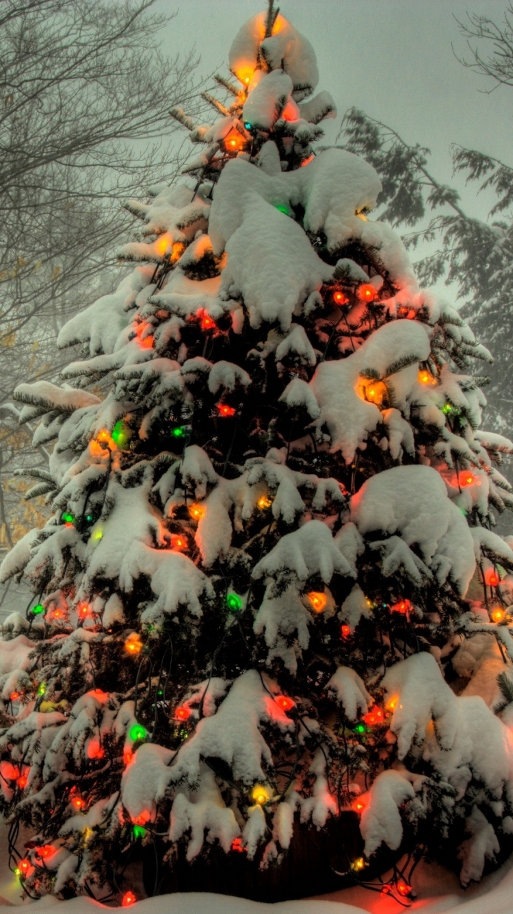 Baixar papel de parede para celular de Natal, Árvore De Natal, Feriados, Luzes De Natal gratuito.