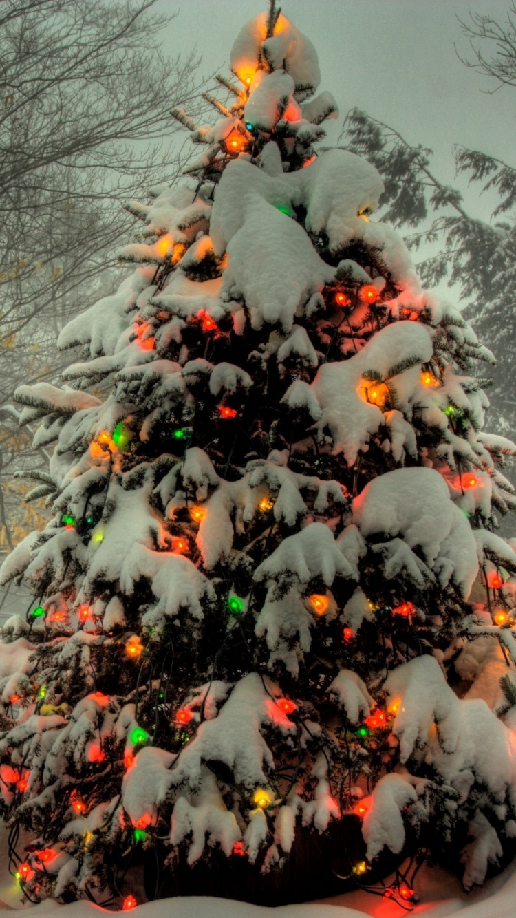 Download mobile wallpaper Christmas, Holiday, Christmas Tree, Christmas Lights for free.