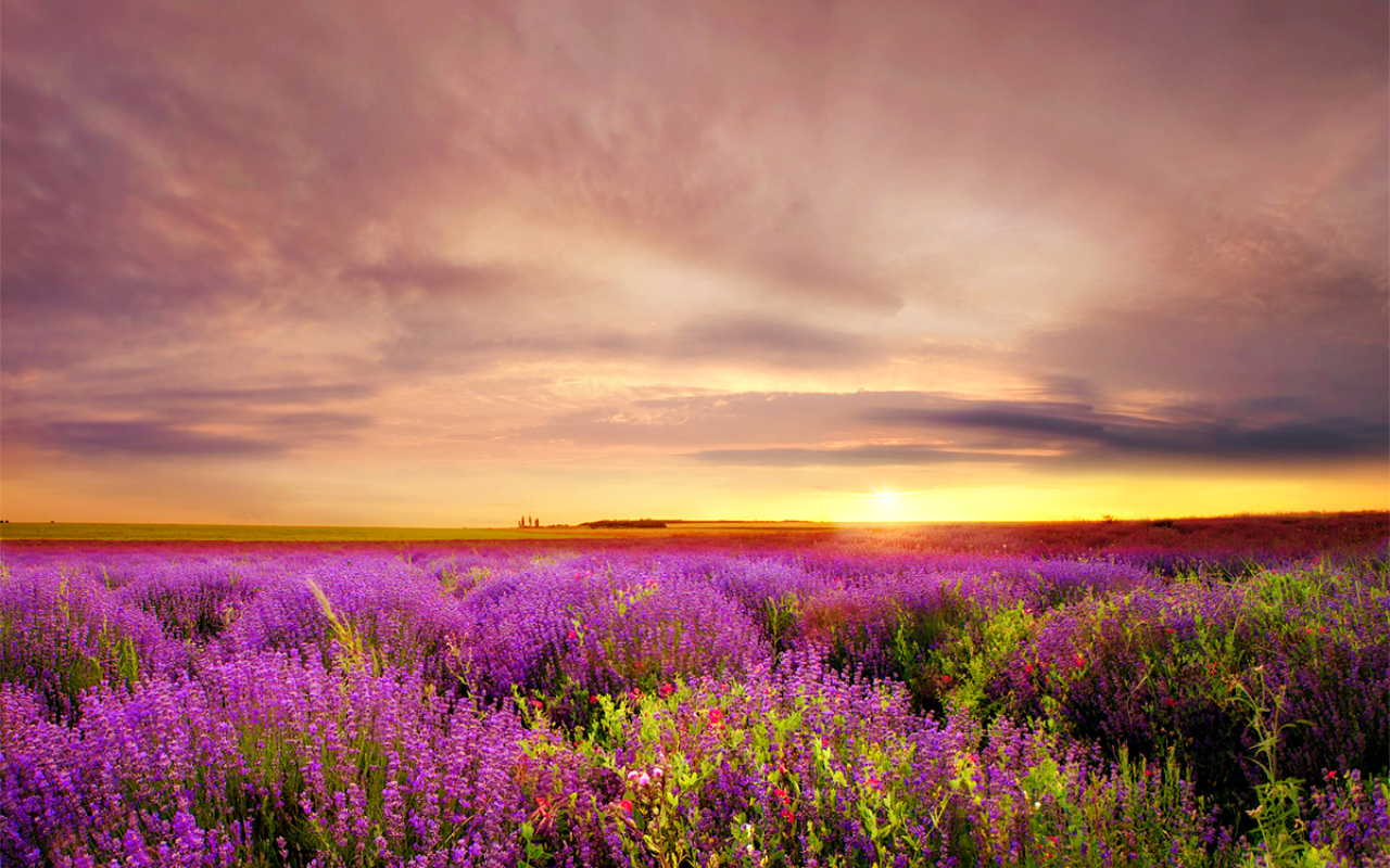 Téléchargez gratuitement l'image Coucher De Soleil, Terre/nature sur le bureau de votre PC