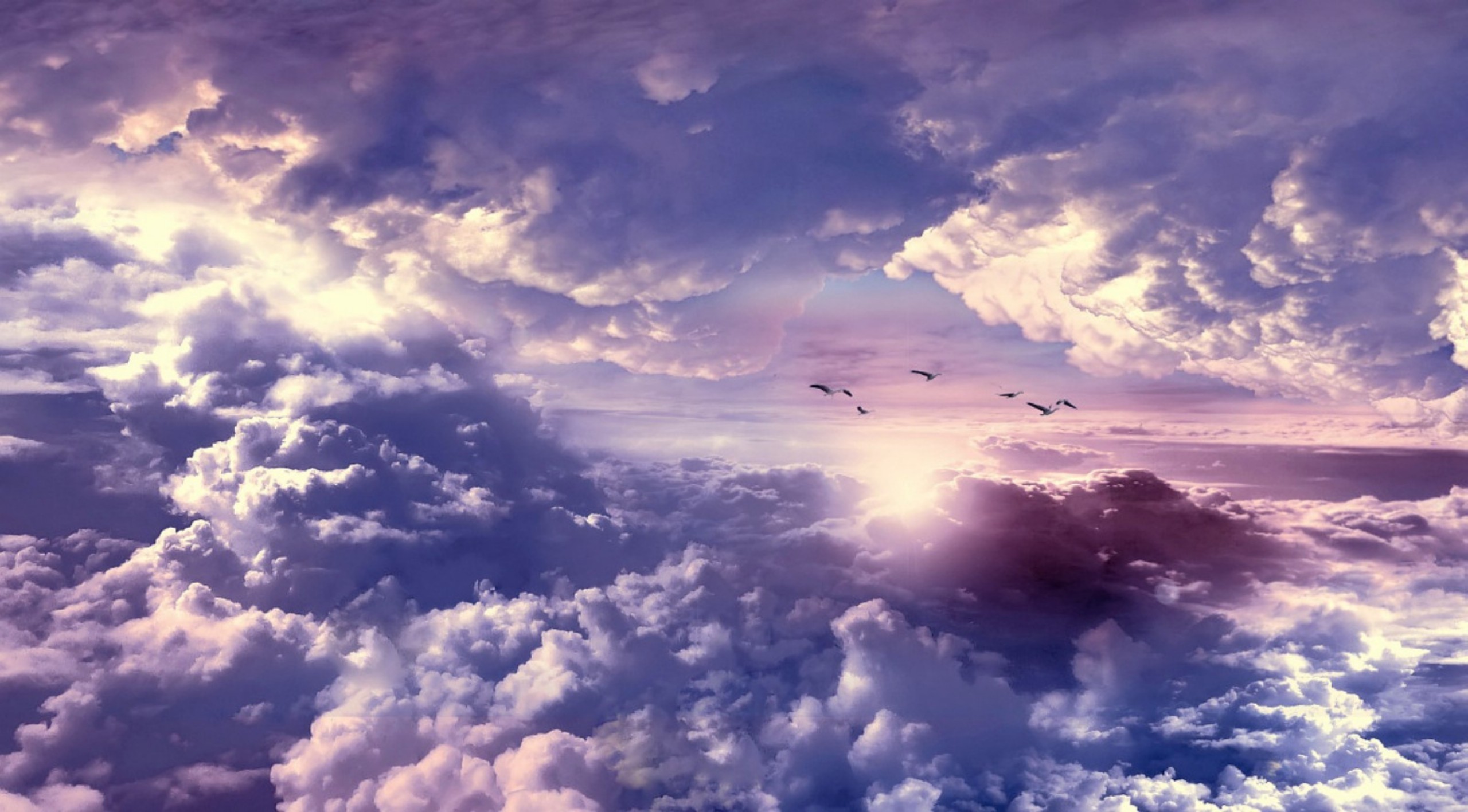 Download mobile wallpaper Sky, Bird, Earth, Cloud, Flying for free.