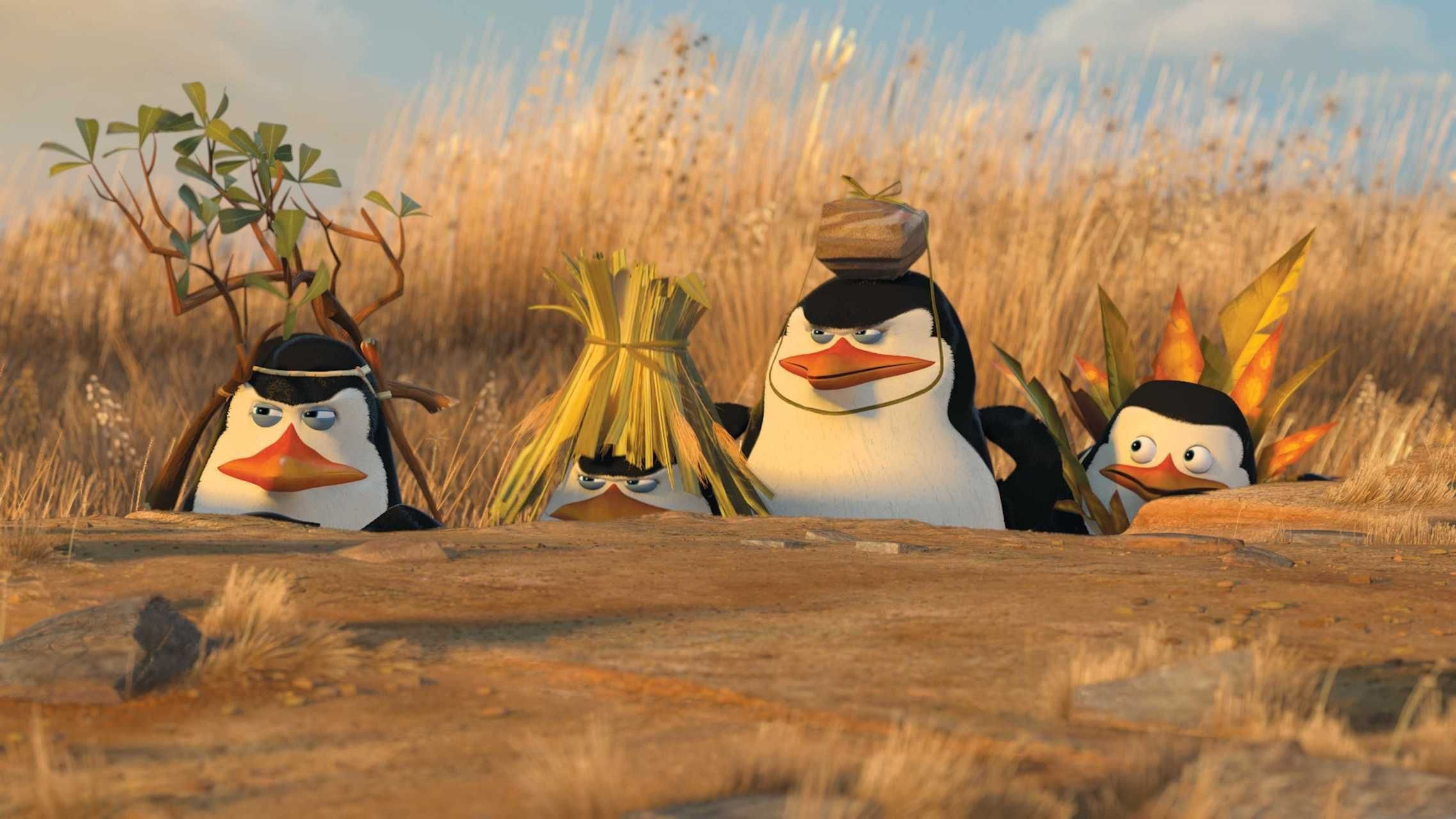 699031 Bild herunterladen filme, die pinguine aus madagascar - Hintergrundbilder und Bildschirmschoner kostenlos