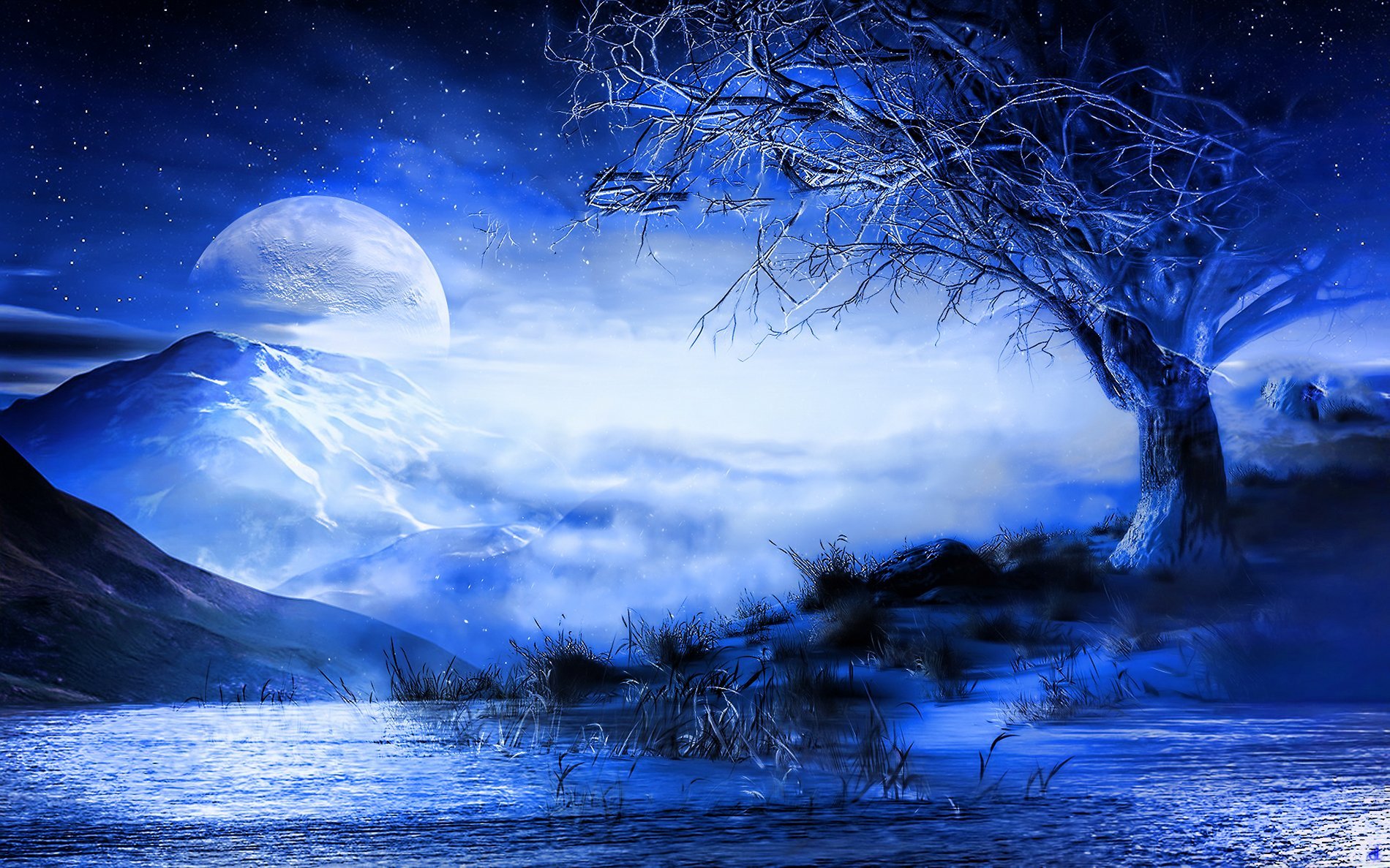 Download mobile wallpaper Landscape, Fantasy, Sky, Moon, Mountain, Tree, Star for free.