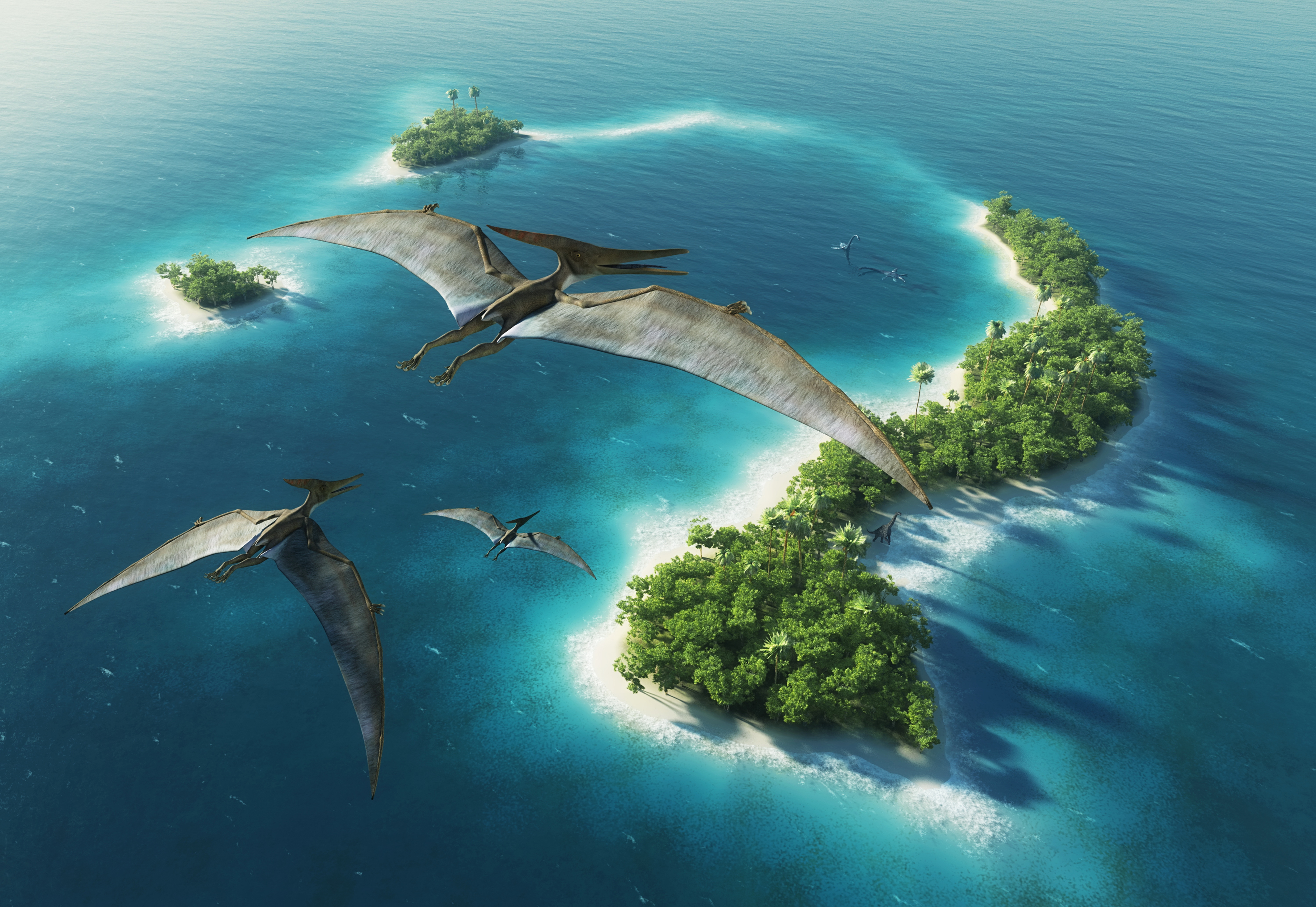 Baixe gratuitamente a imagem Animais, Água, Mar, Dinossauros, Ilha, Dinossauro, Pteranodonte na área de trabalho do seu PC