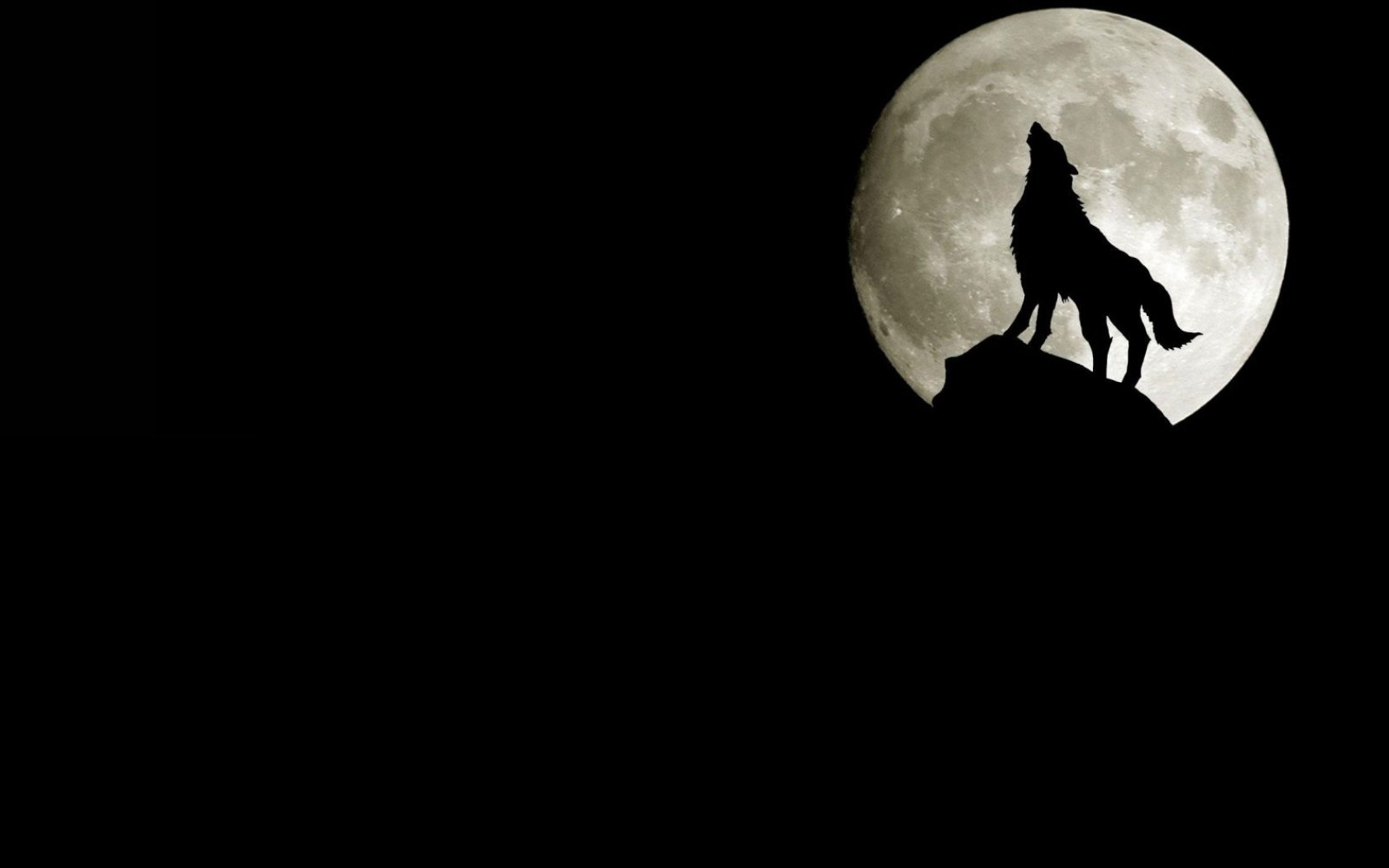 Скачать обои бесплатно Животные, Луна, Волки картинка на рабочий стол ПК