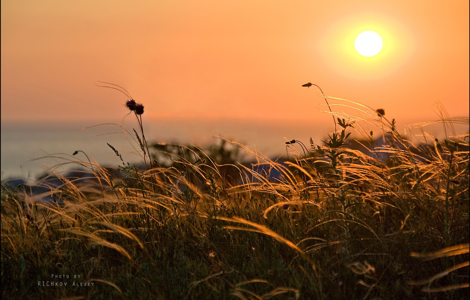 Free download wallpaper Landscape, Sunset, Grass, Sky on your PC desktop