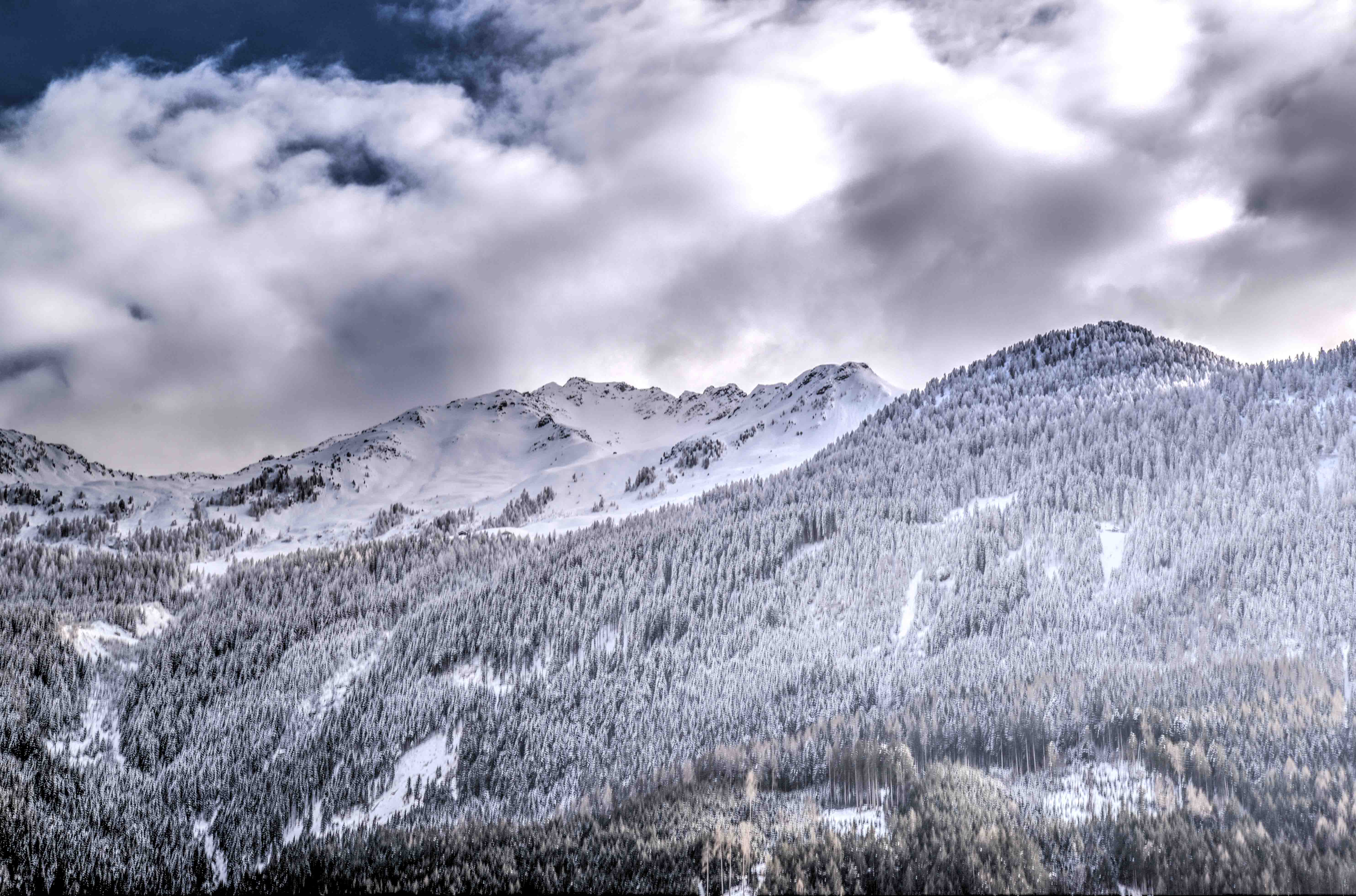 Descarga gratis la imagen Naturaleza, Montañas, Nieve, Las Rocas, Rocas, Bosque en el escritorio de tu PC